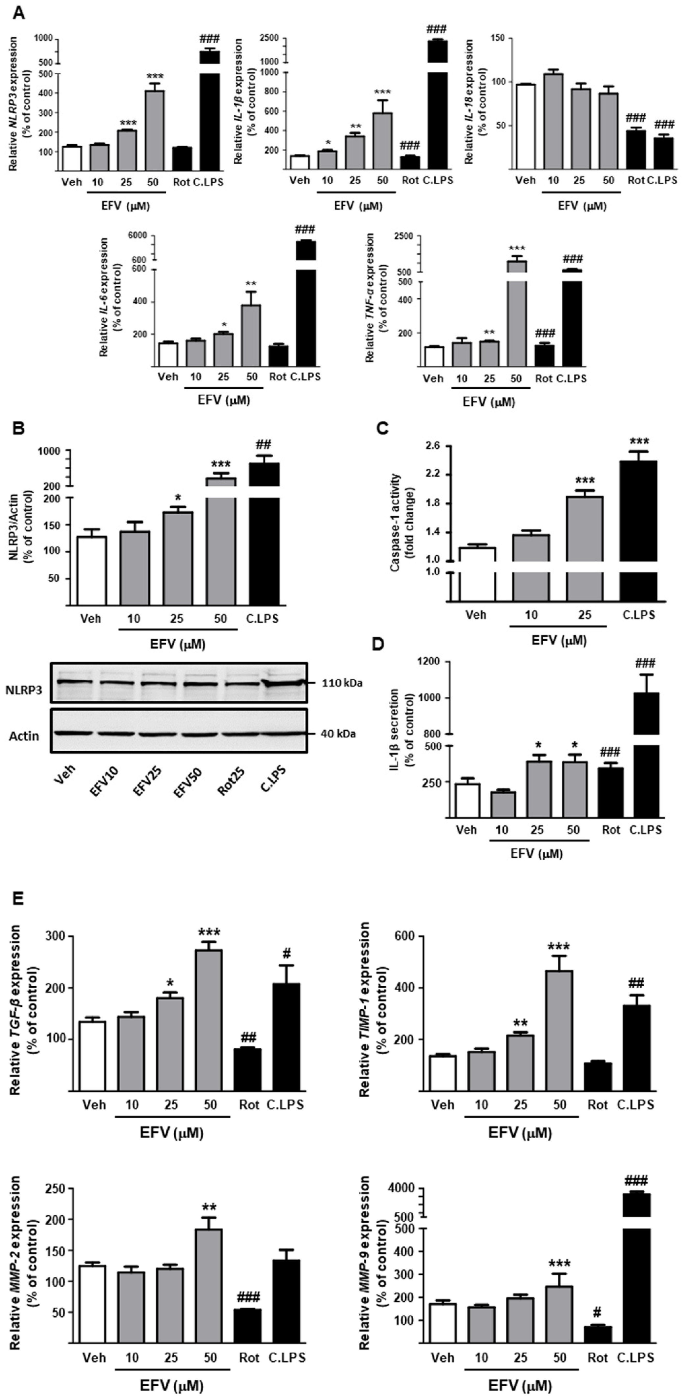 Biomedicines 10 00109 g005 Biomedicines 10 00109 g005