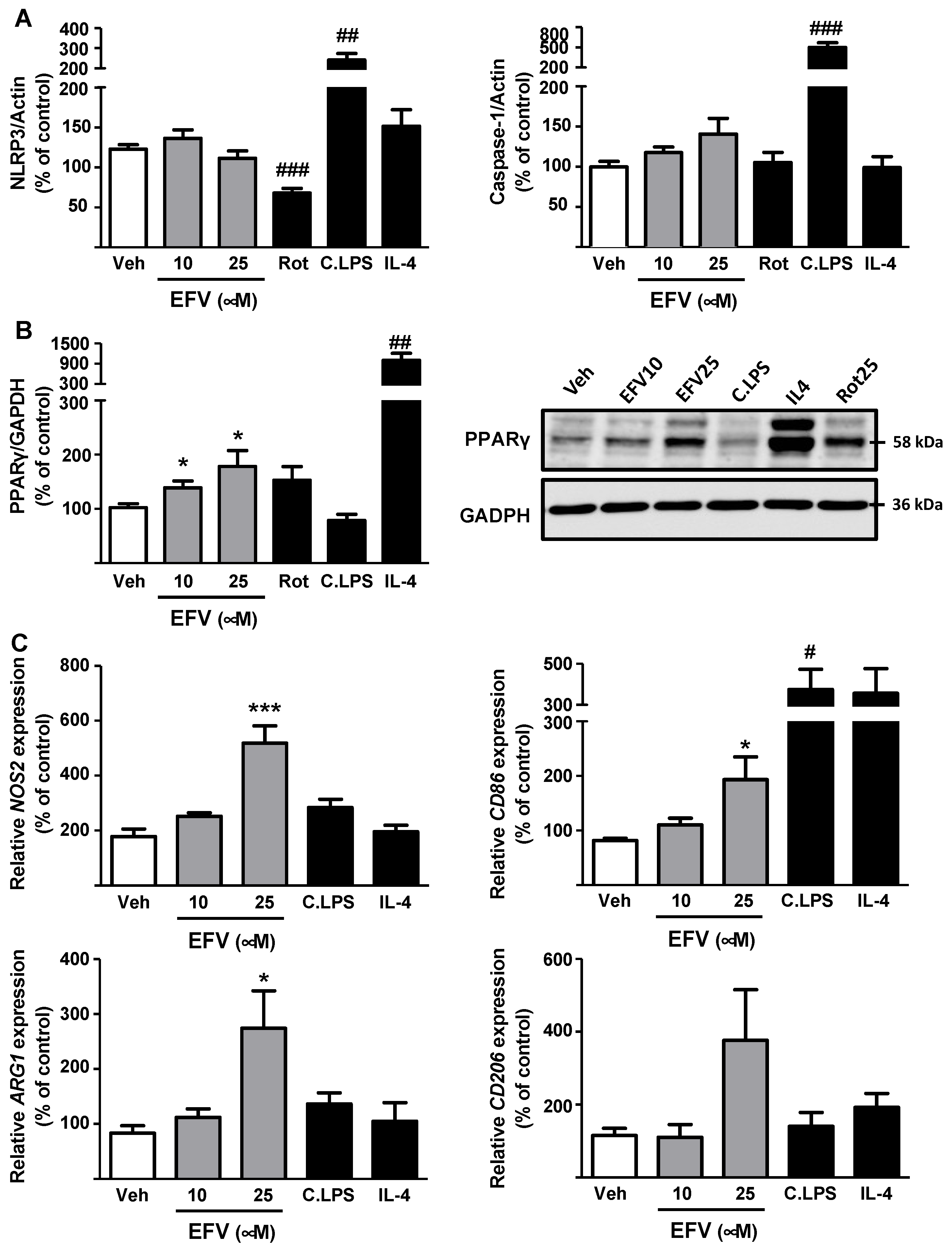 Biomedicines 10 00109 g006 Biomedicines 10 00109 g006
