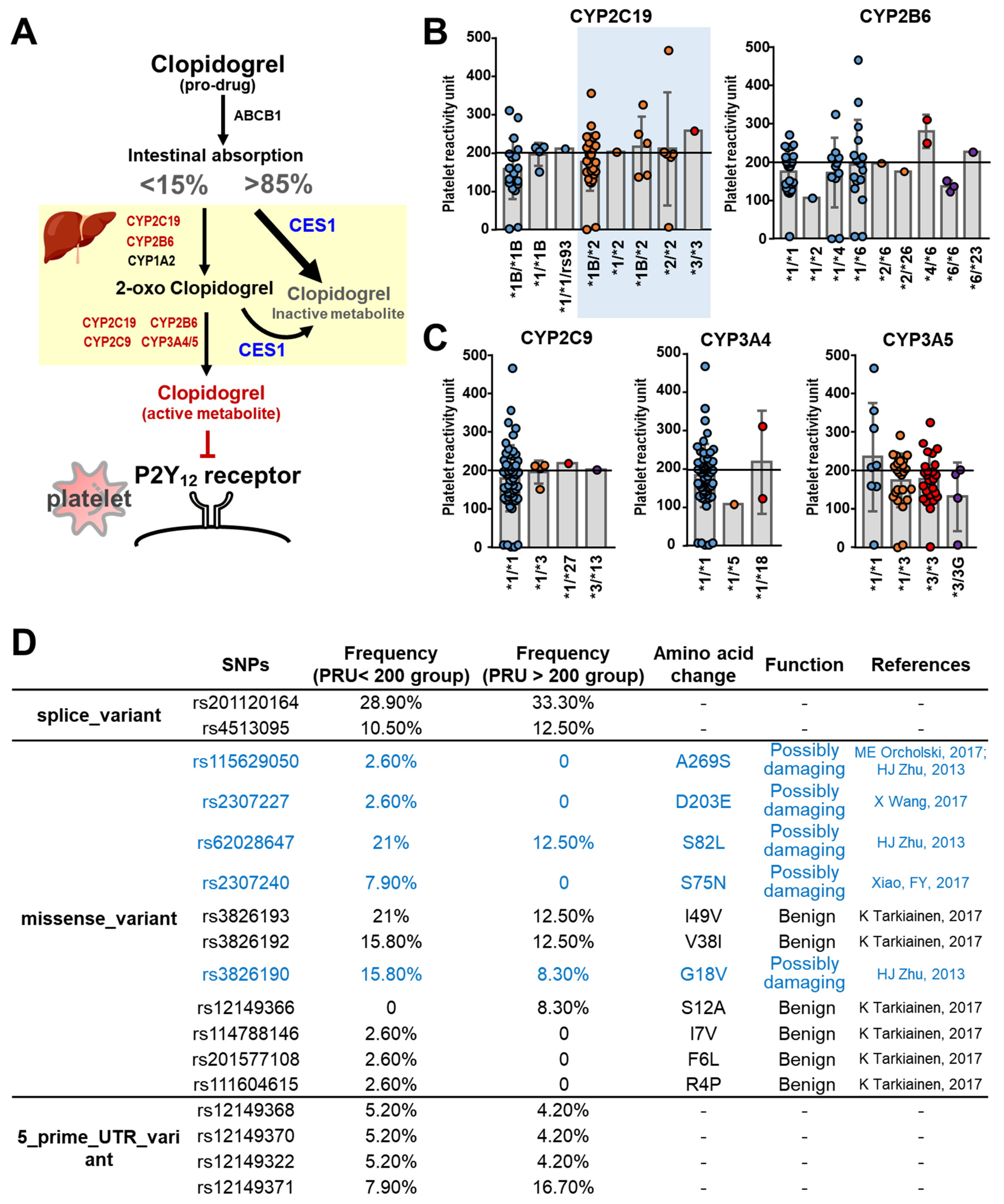 Biomedicines 10 00116 g003