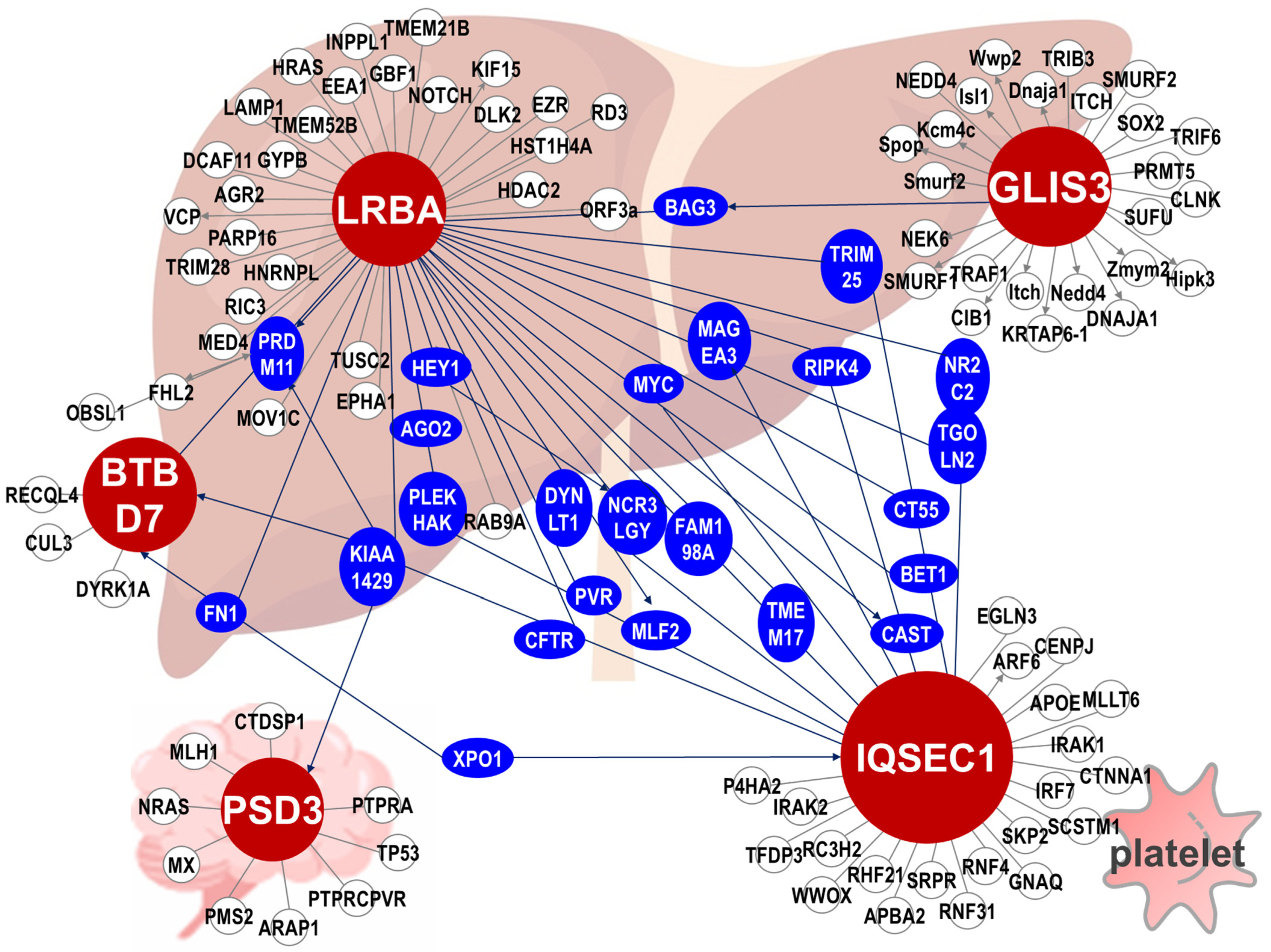 Biomedicines 10 00116 g005