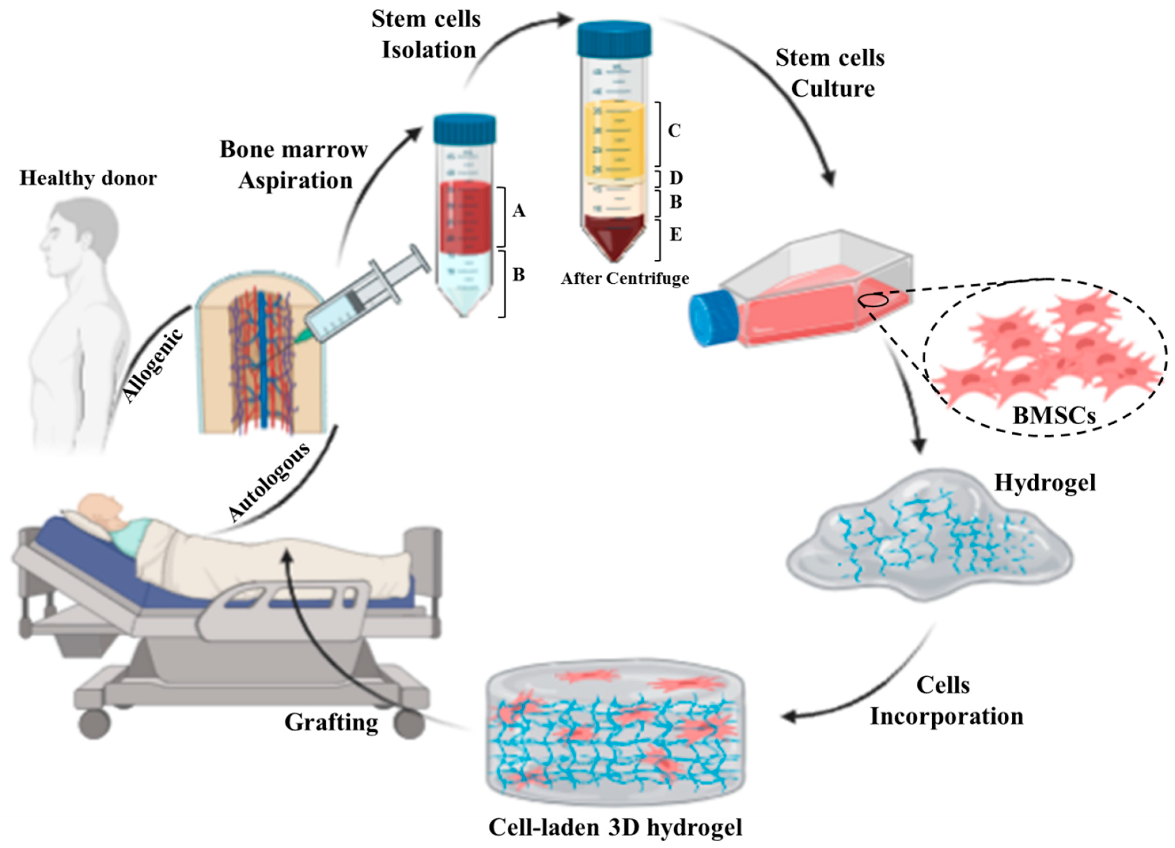 Biomedicines 10 00118 g003 Biomedicines 10 00118 g003