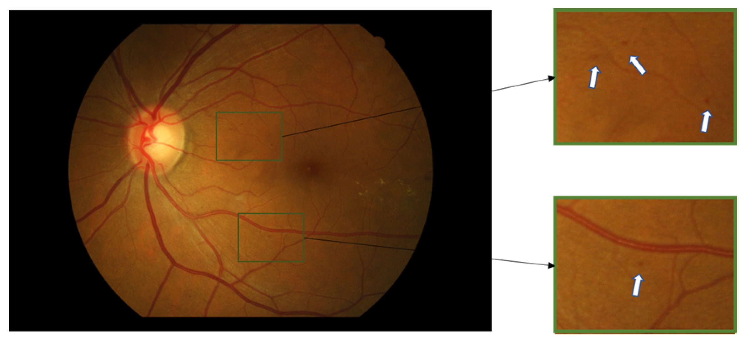 Biomedicines 10 00124 g001