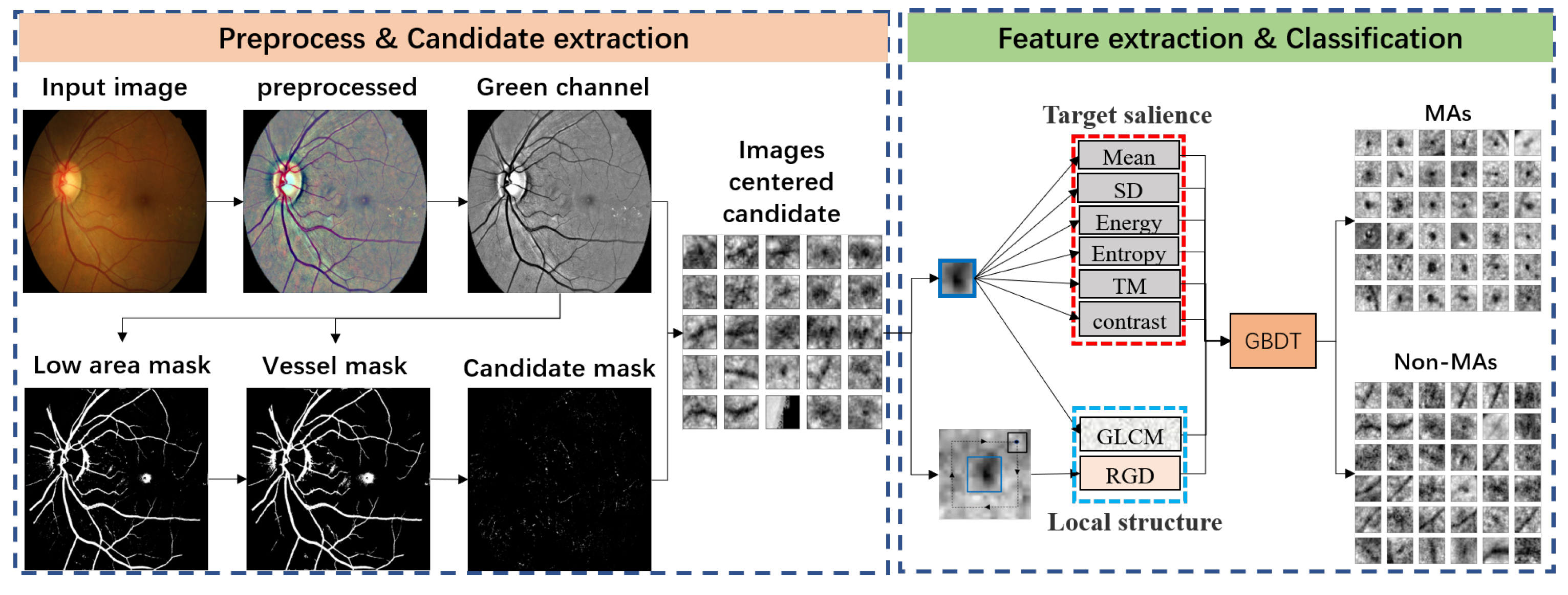 Biomedicines 10 00124 g002