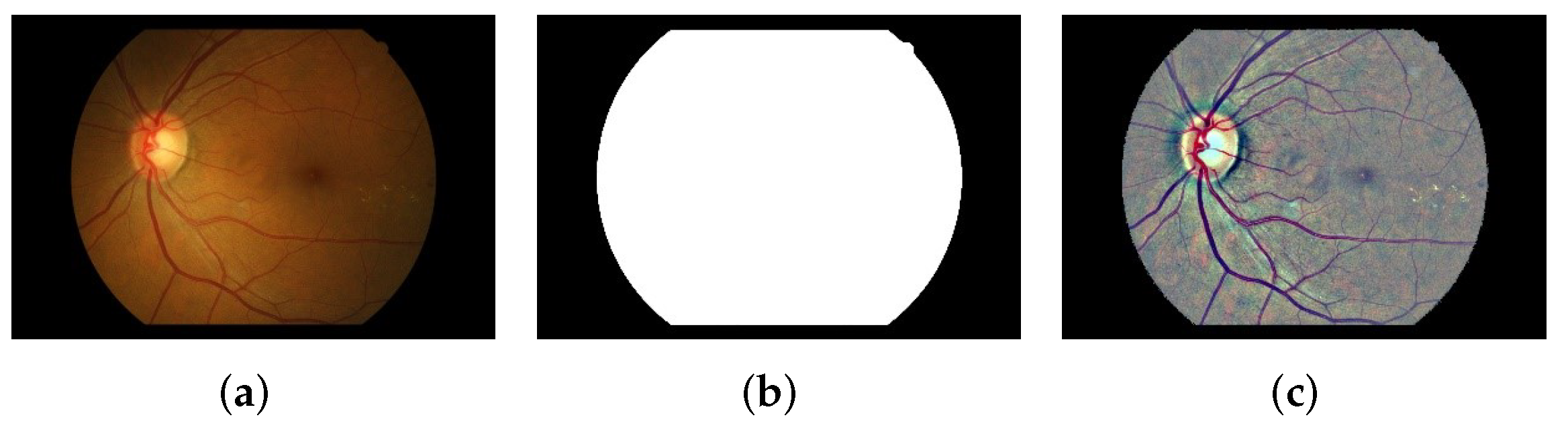 Biomedicines 10 00124 g003