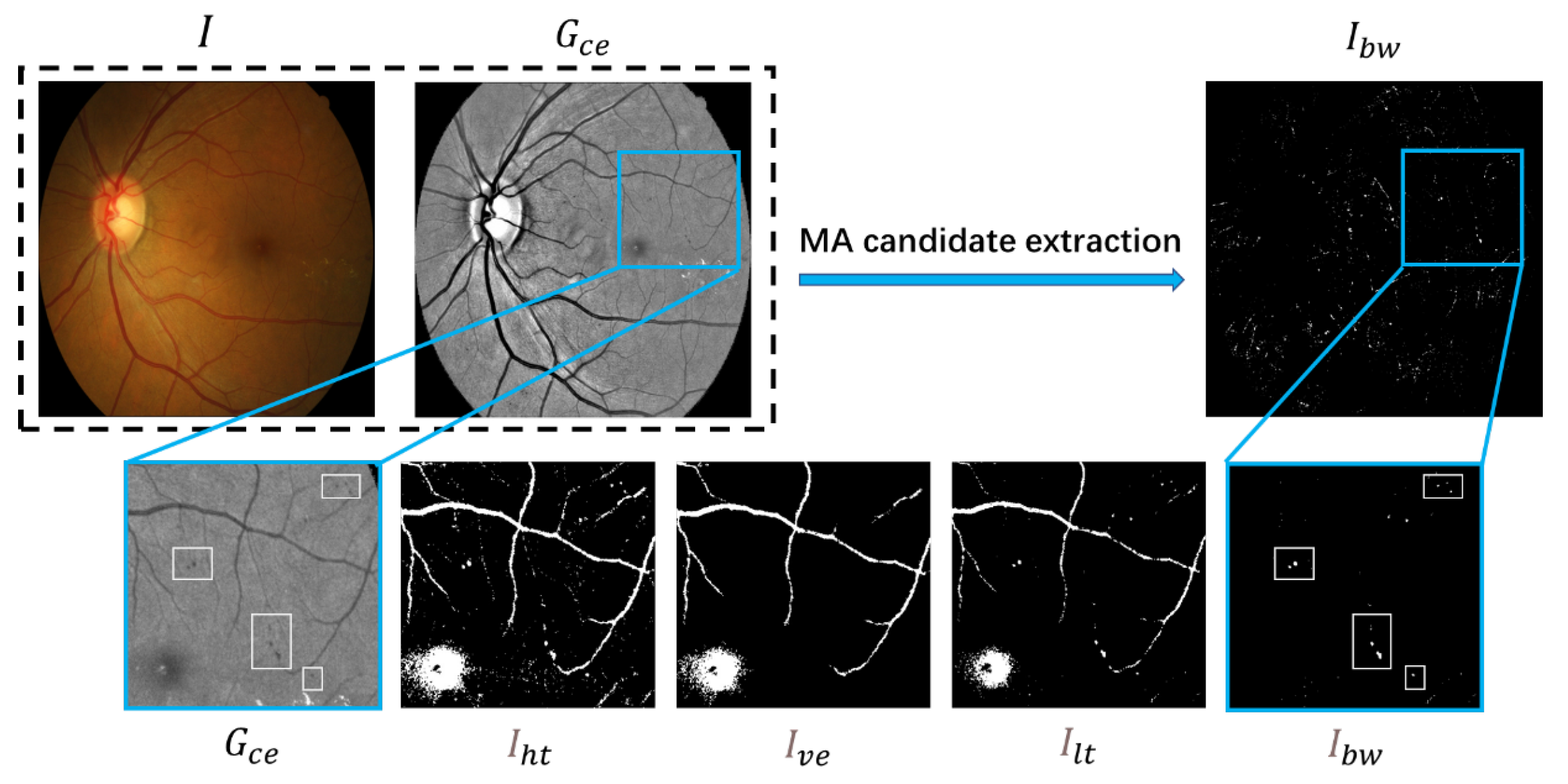 Biomedicines 10 00124 g004