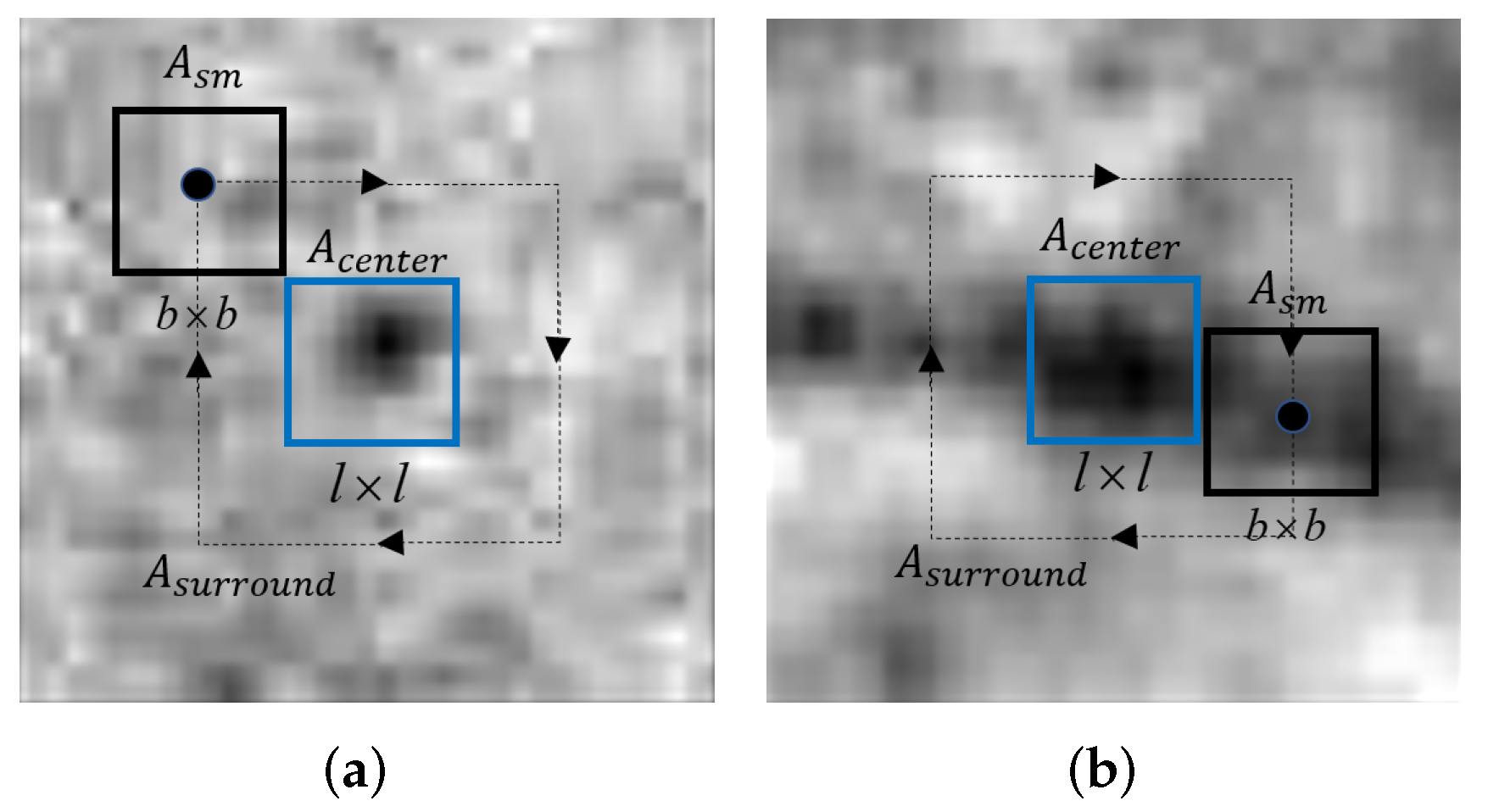 Biomedicines 10 00124 g005