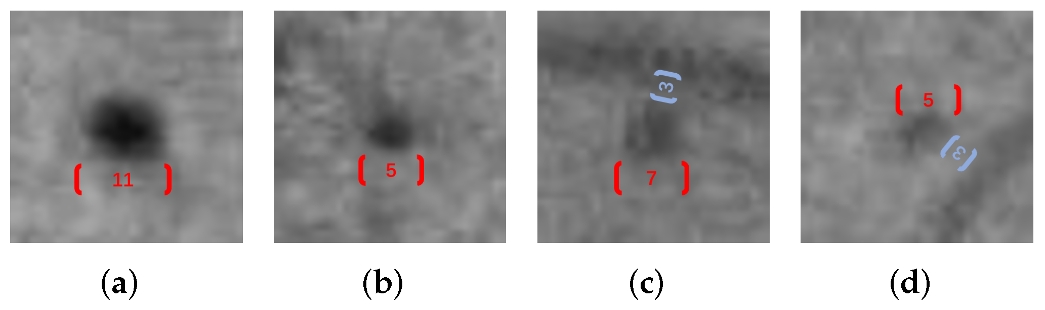 Biomedicines 10 00124 g006