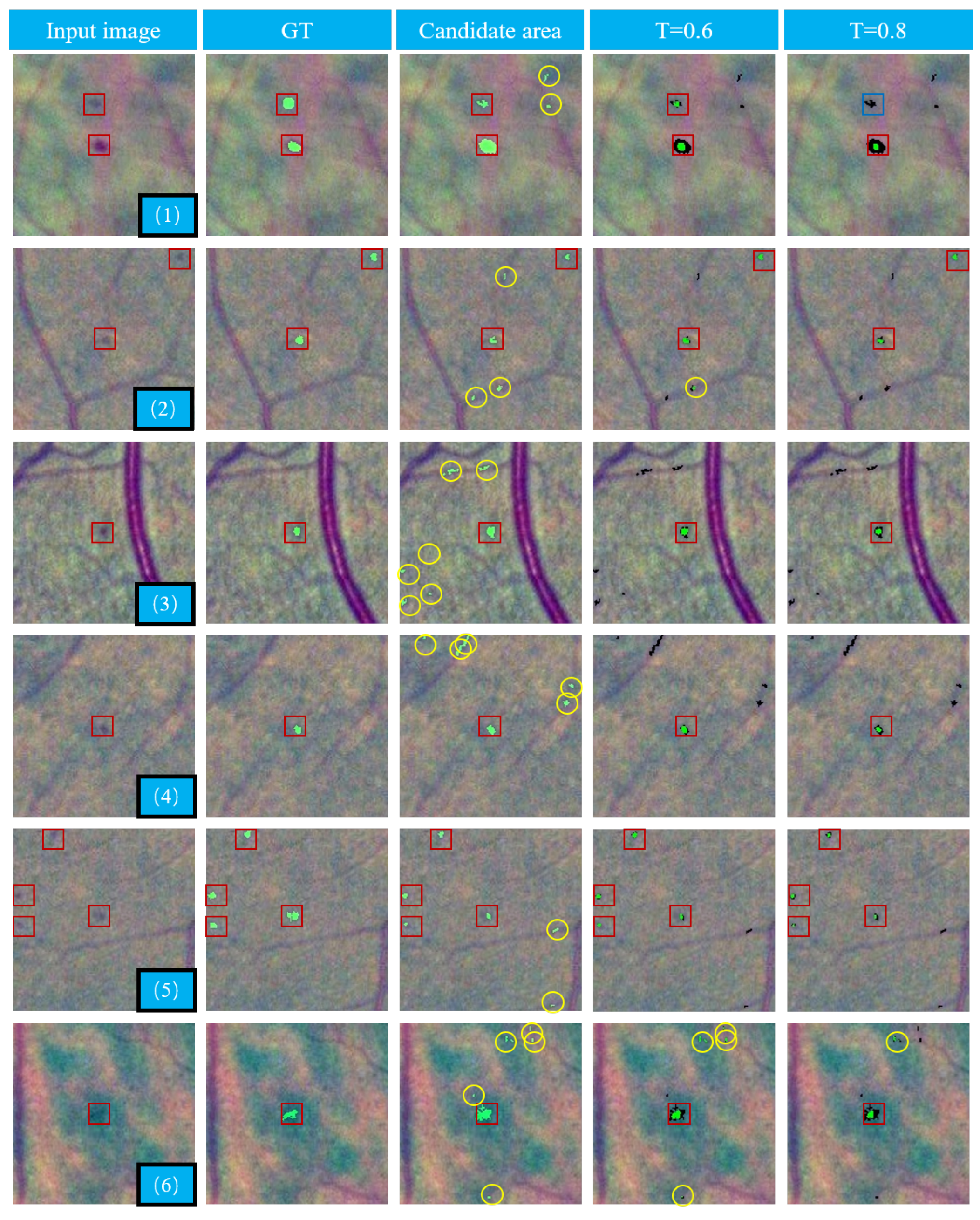 Biomedicines 10 00124 g010