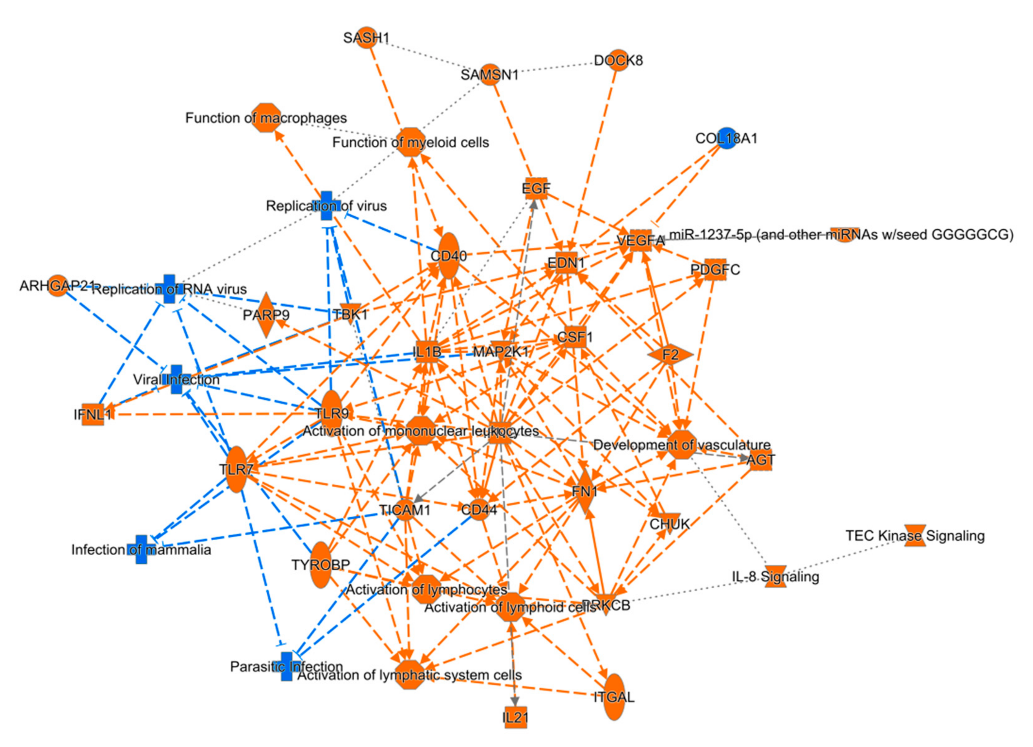 Biomedicines 10 00136 g004