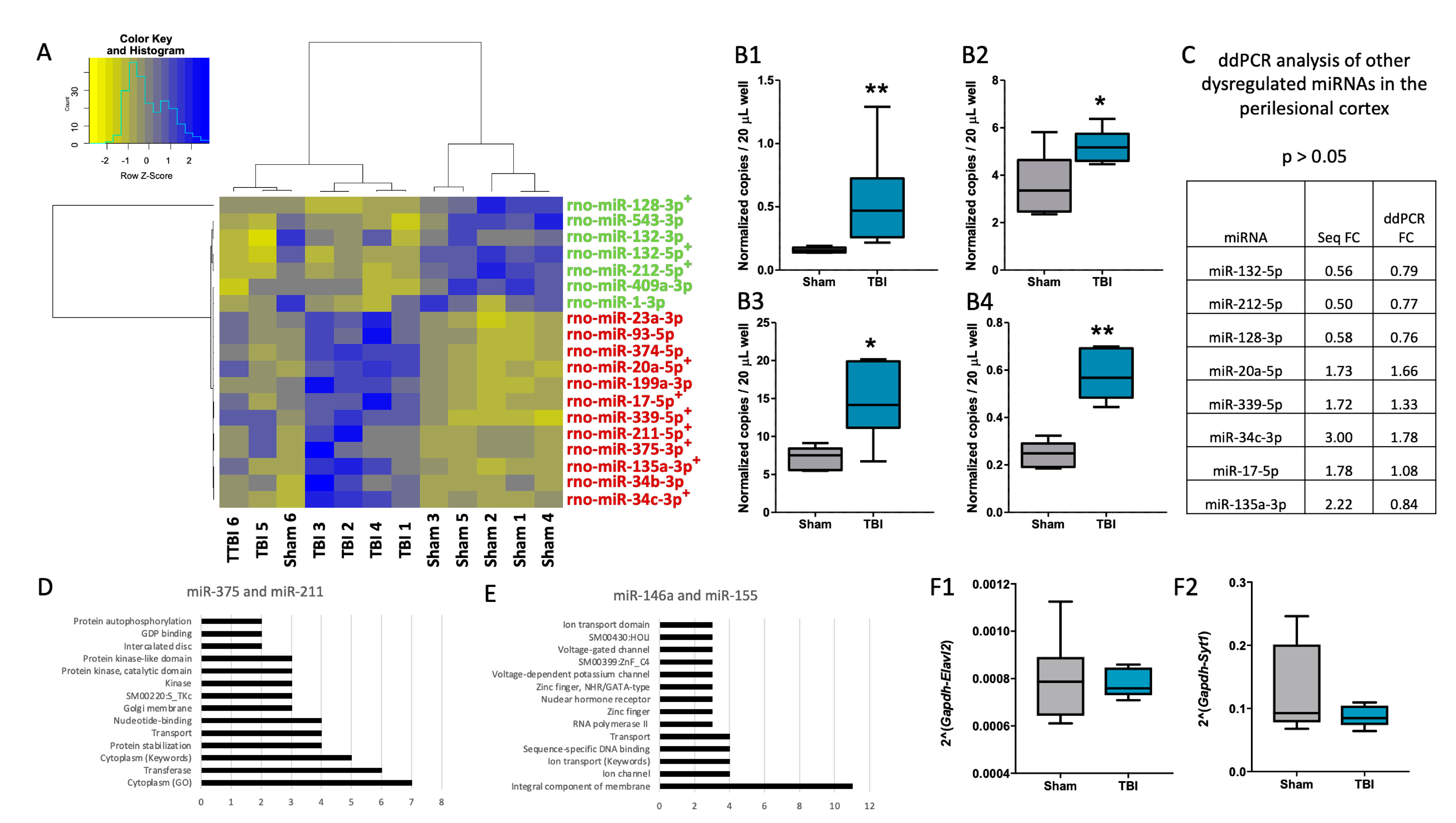 Biomedicines 10 00136 g005