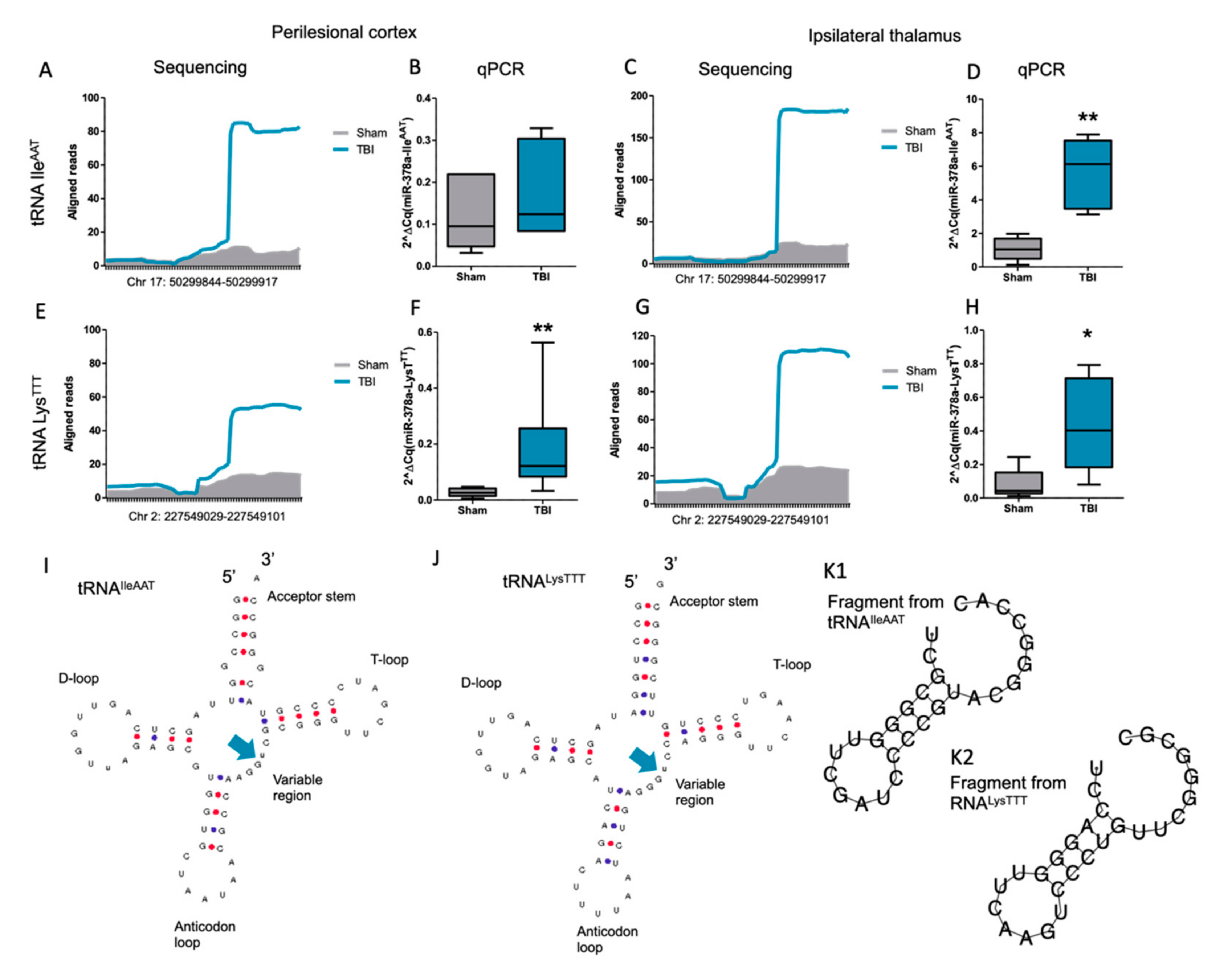 Biomedicines 10 00136 g008