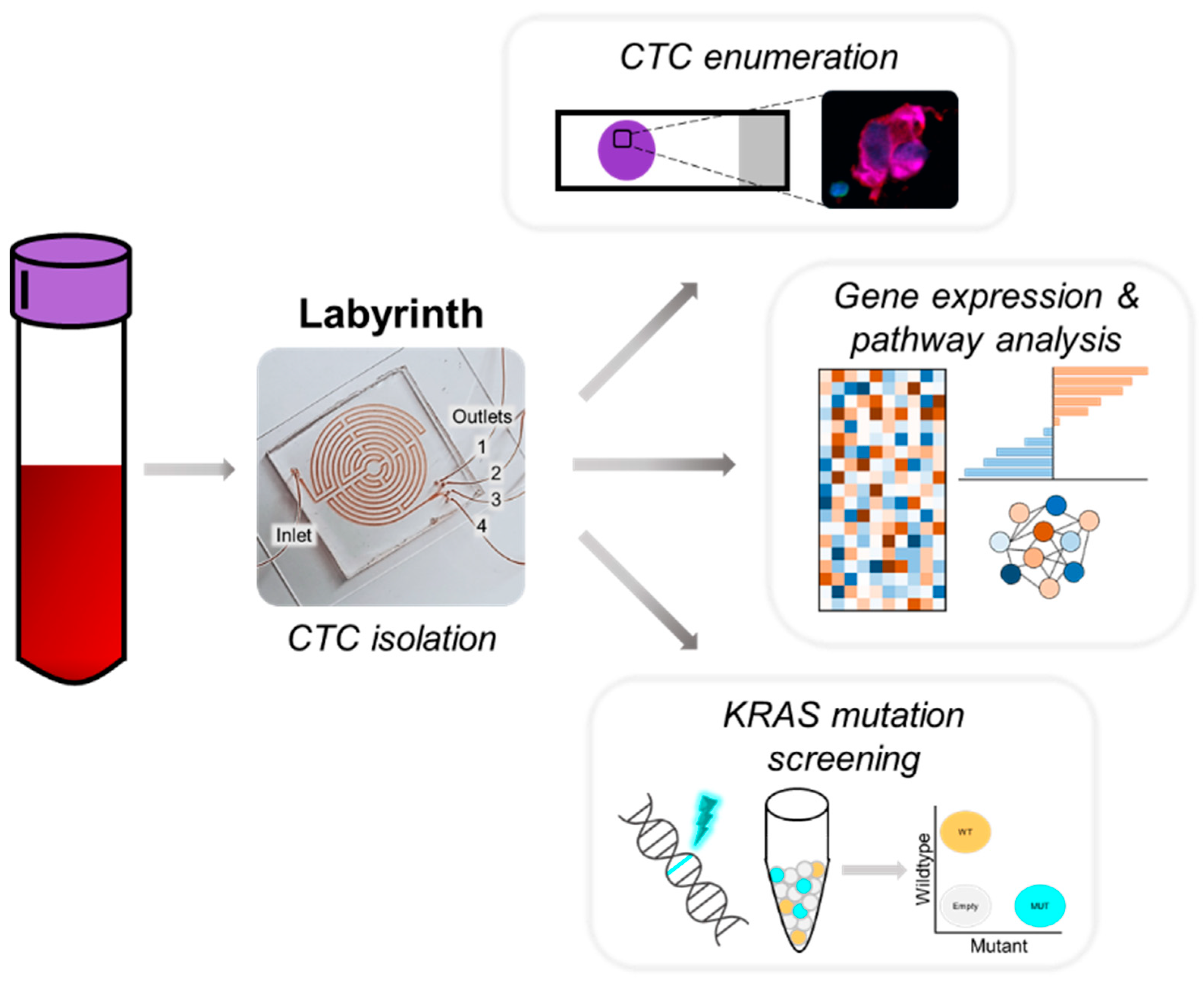 Biomedicines 10 00146 g001