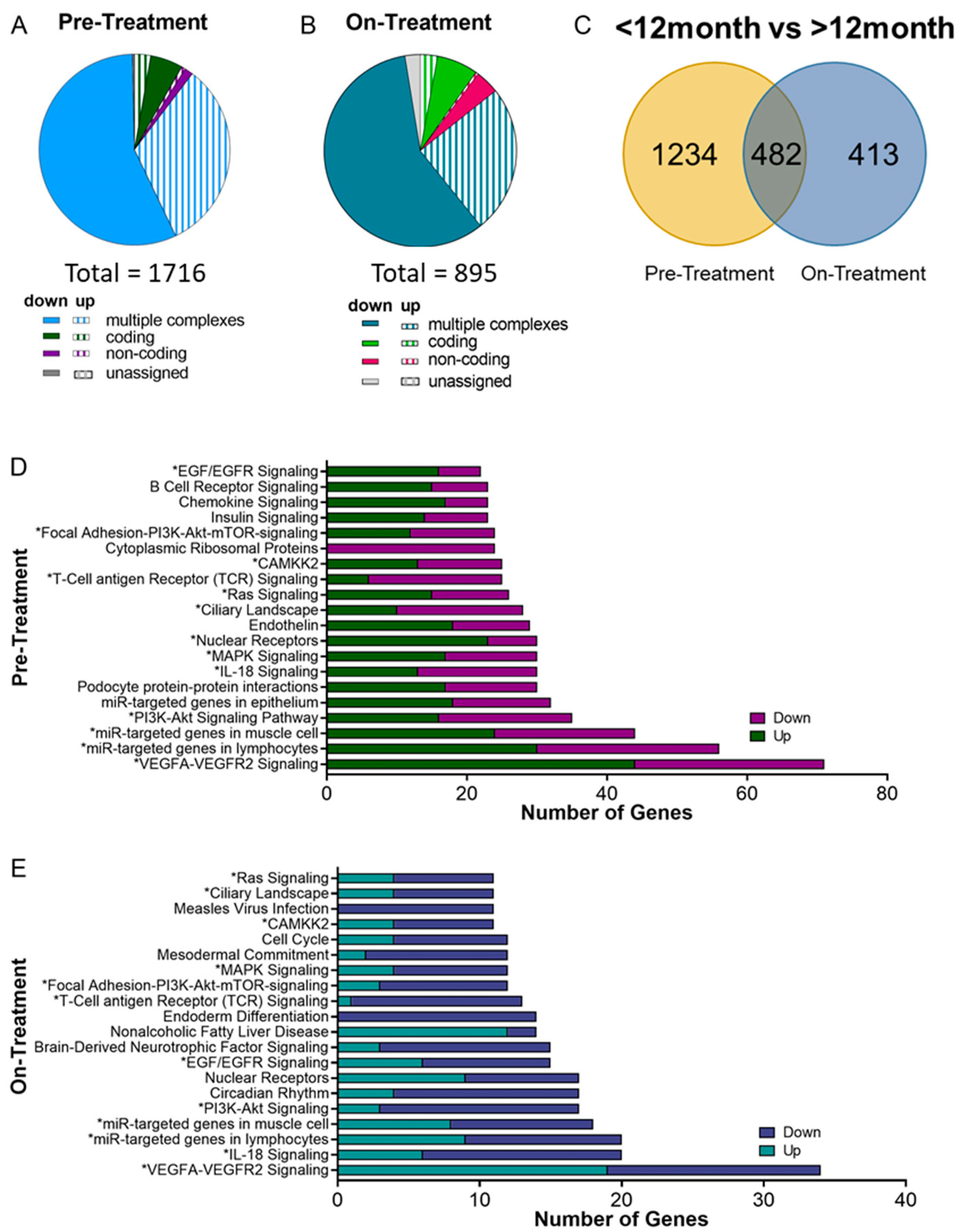 Biomedicines 10 00146 g004