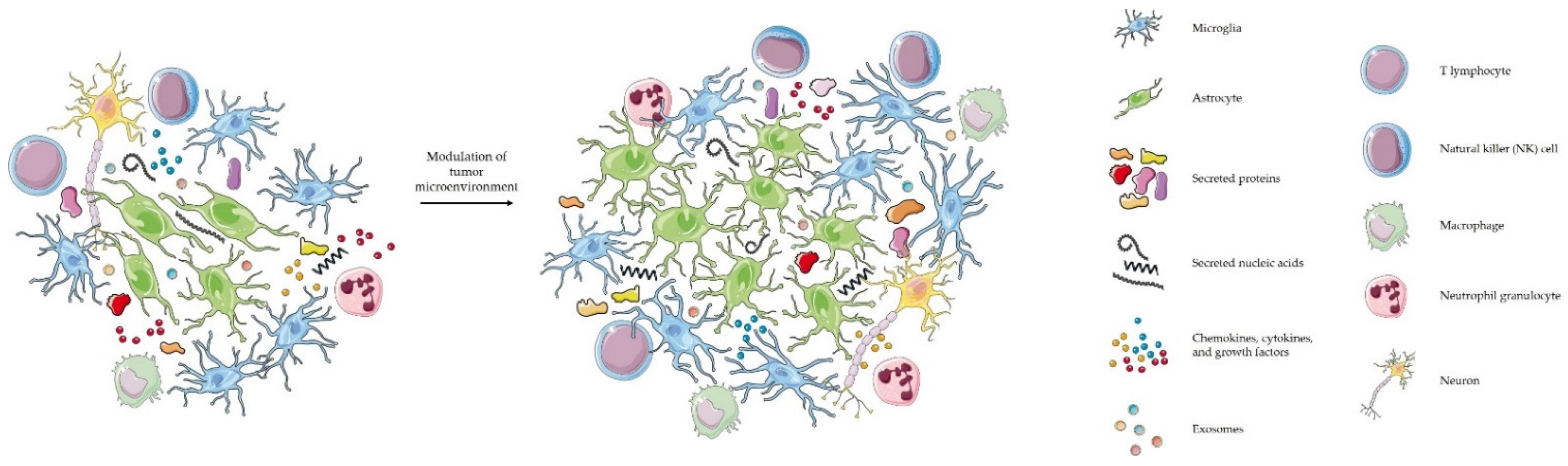 Biomedicines 10 00151 g001