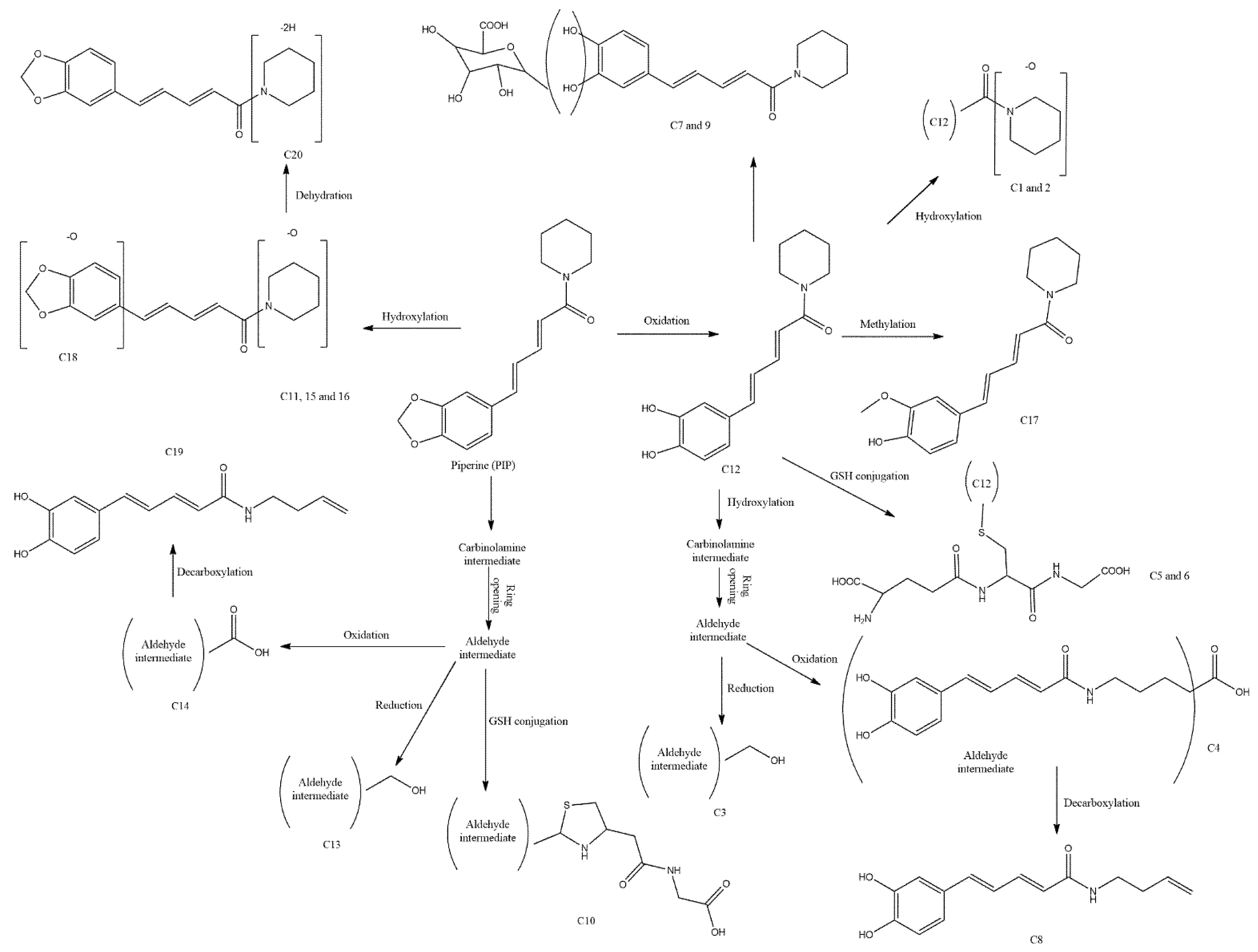 Biomedicines 10 00154 g002