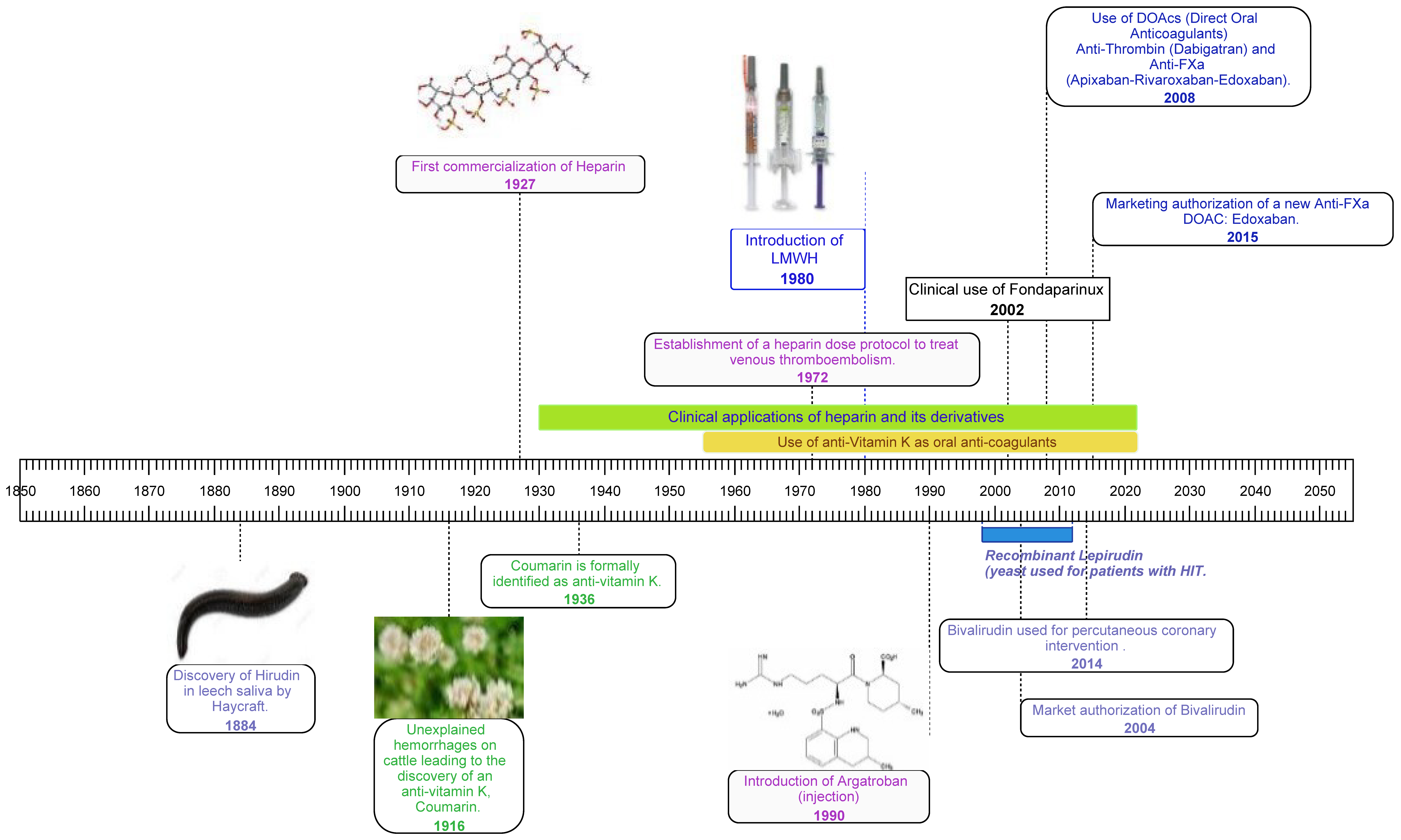 Biomedicines 10 00155 g001
