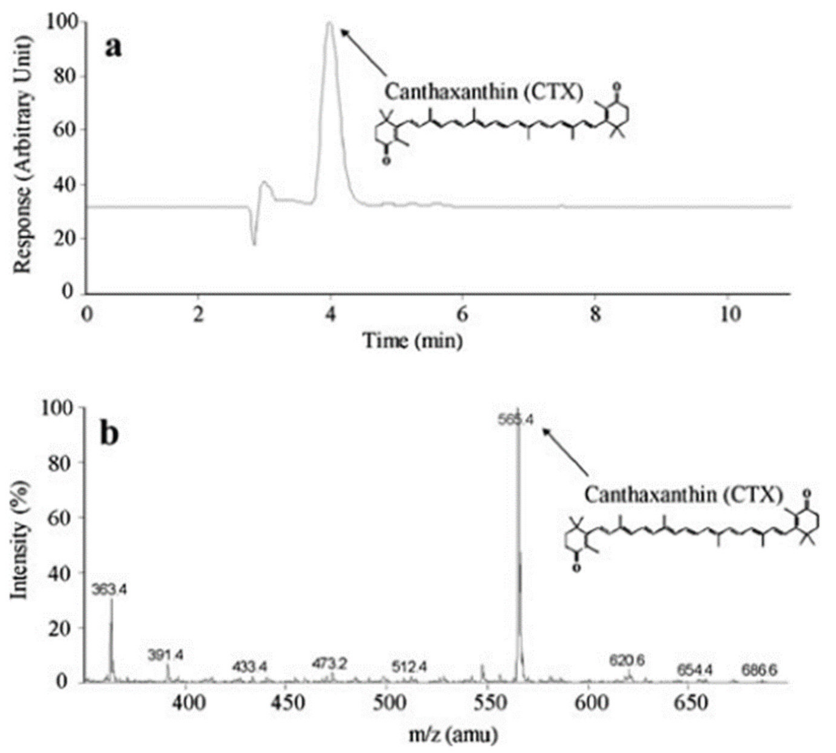 Biomedicines 10 00157 g001