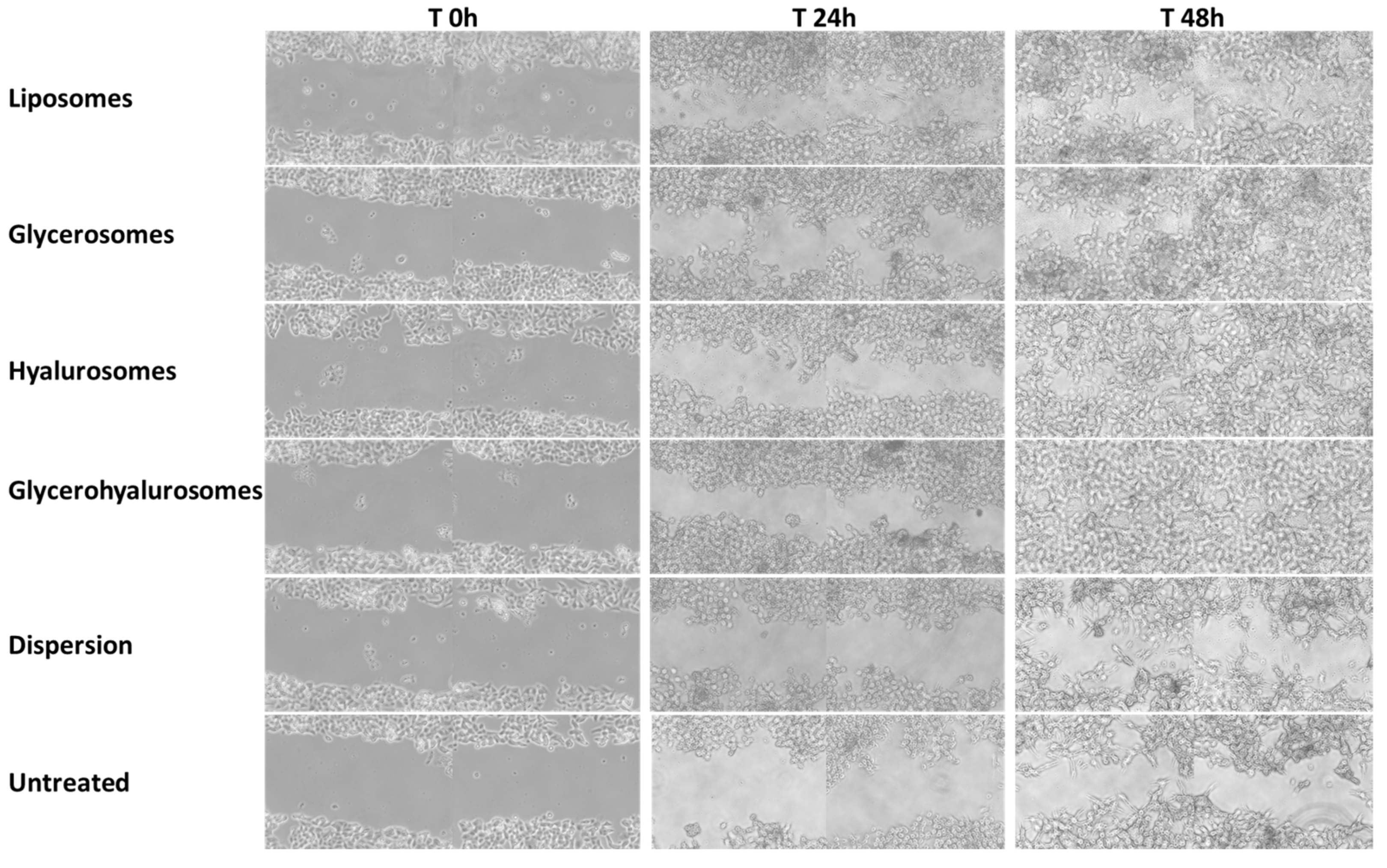 Biomedicines 10 00157 g006