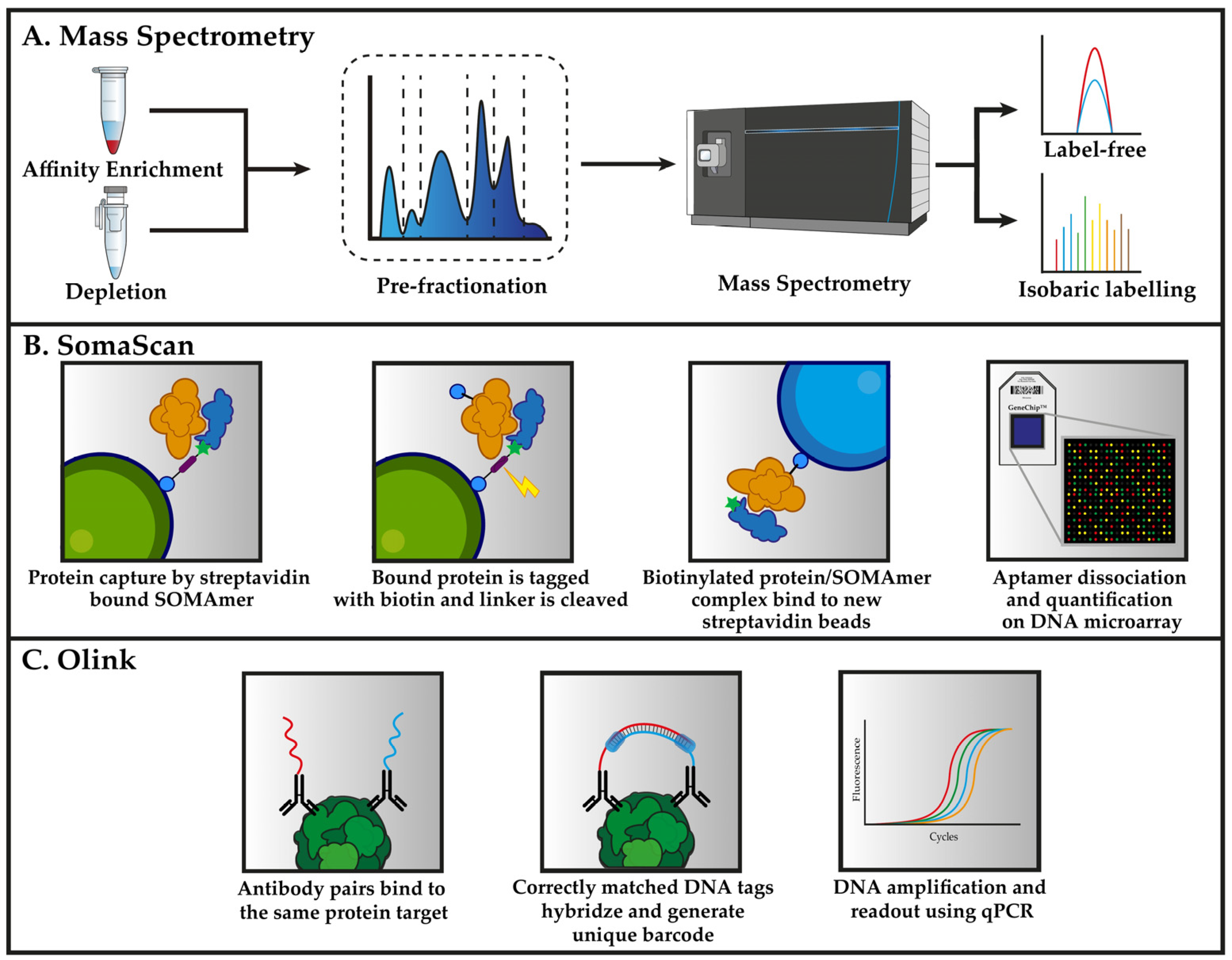 Biomedicines 10 00162 g001 Biomedicines 10 00162 g001