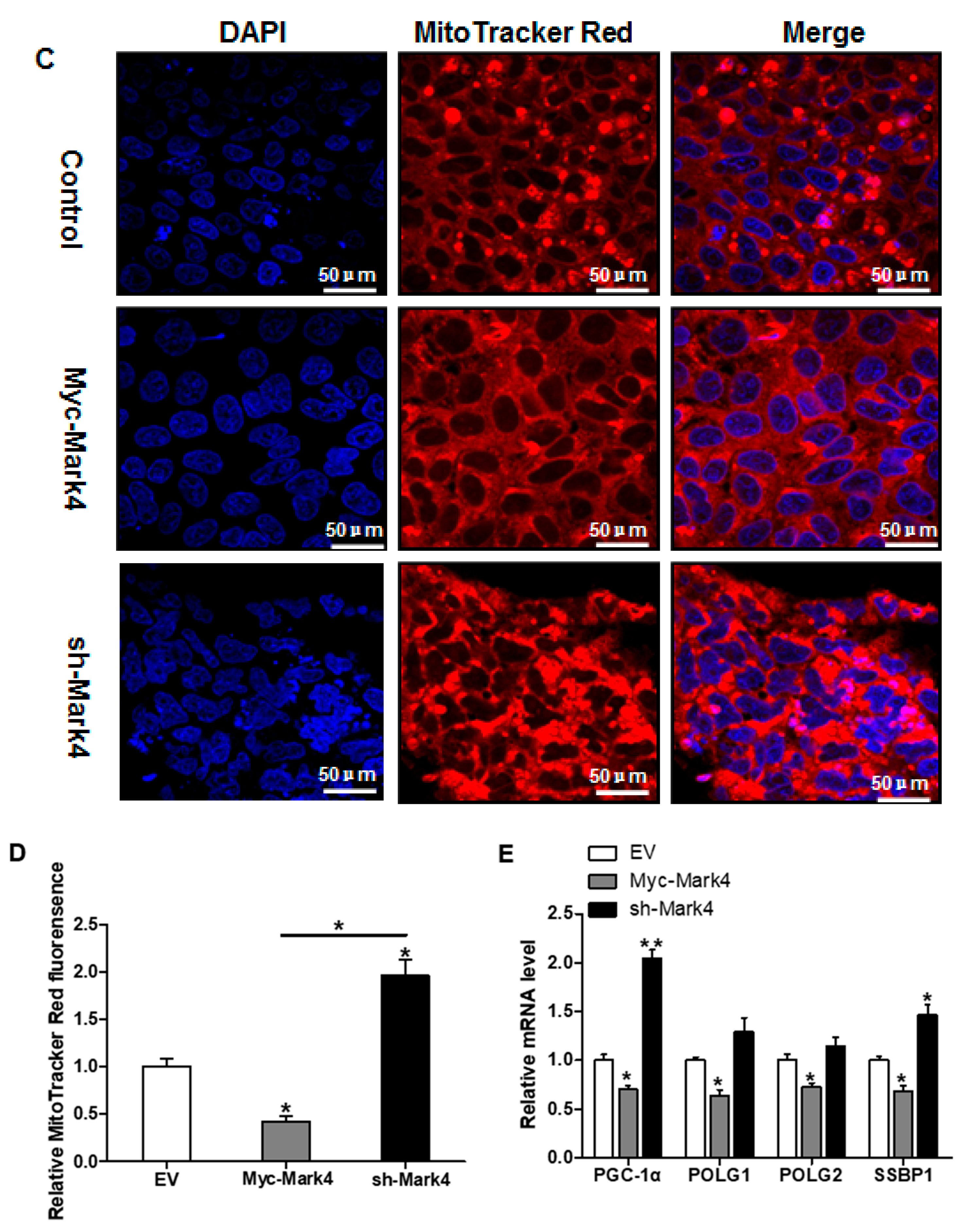 Biomedicines 10 00165 g003b