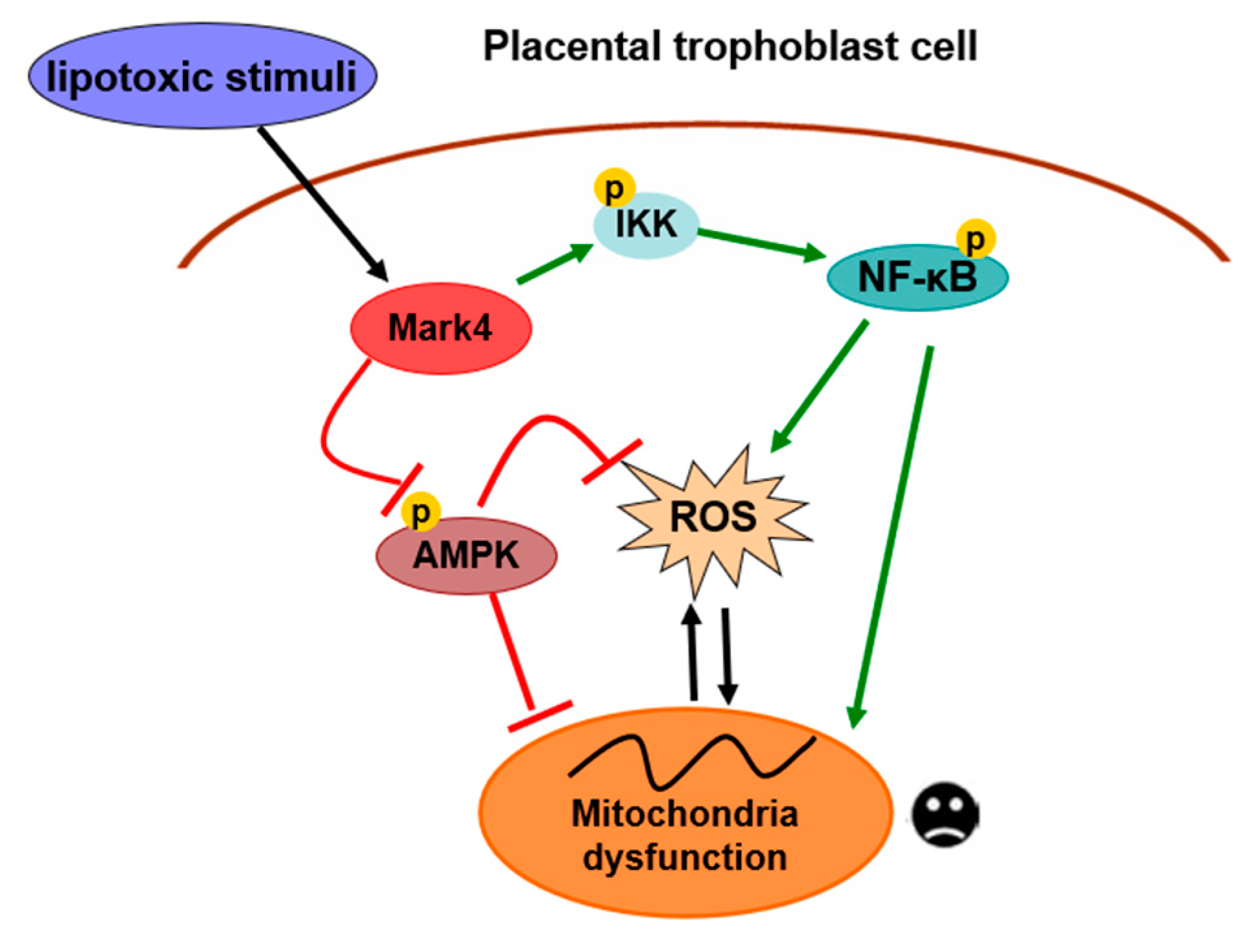 Biomedicines 10 00165 g007