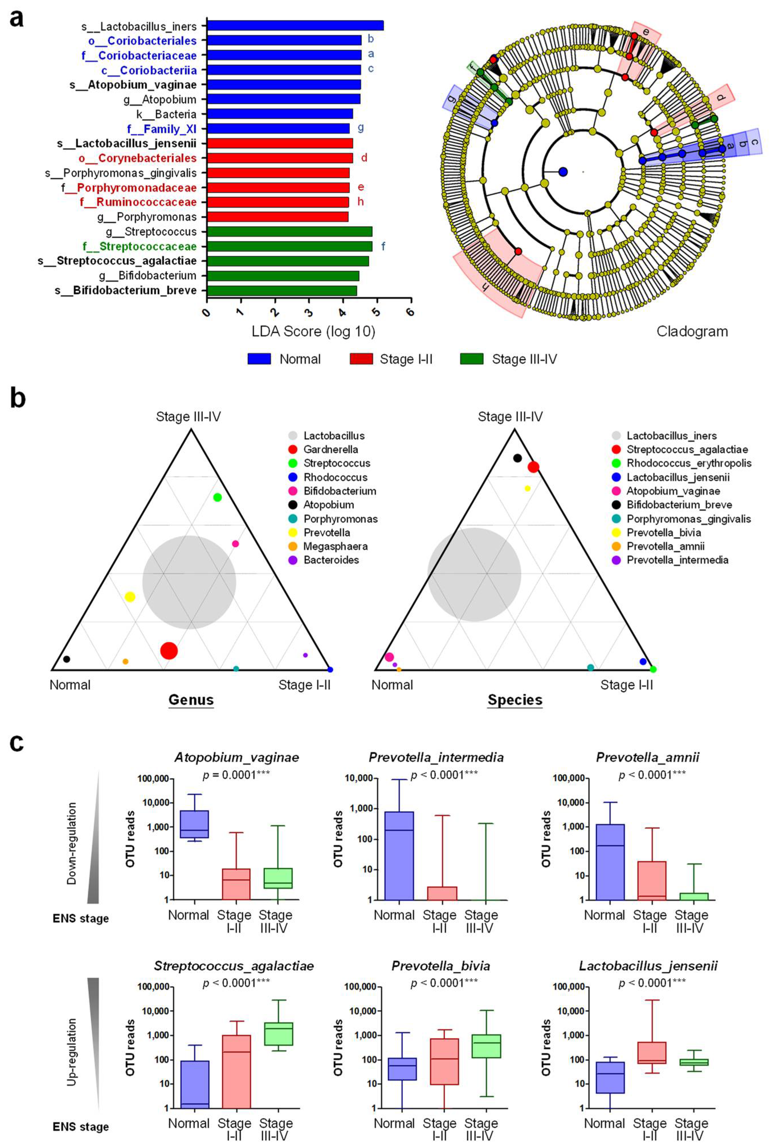 Biomedicines 10 00174 g002