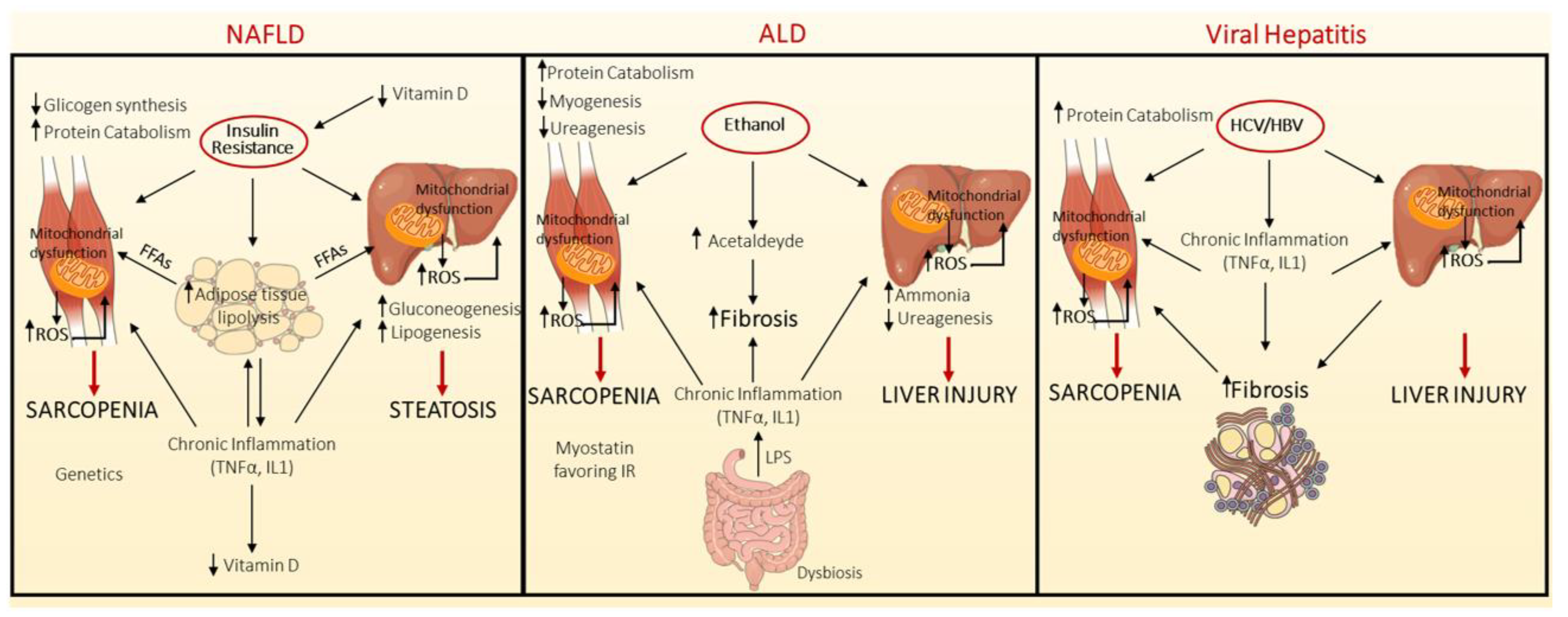 Biomedicines 10 00182 g001 Biomedicines 10 00182 g001
