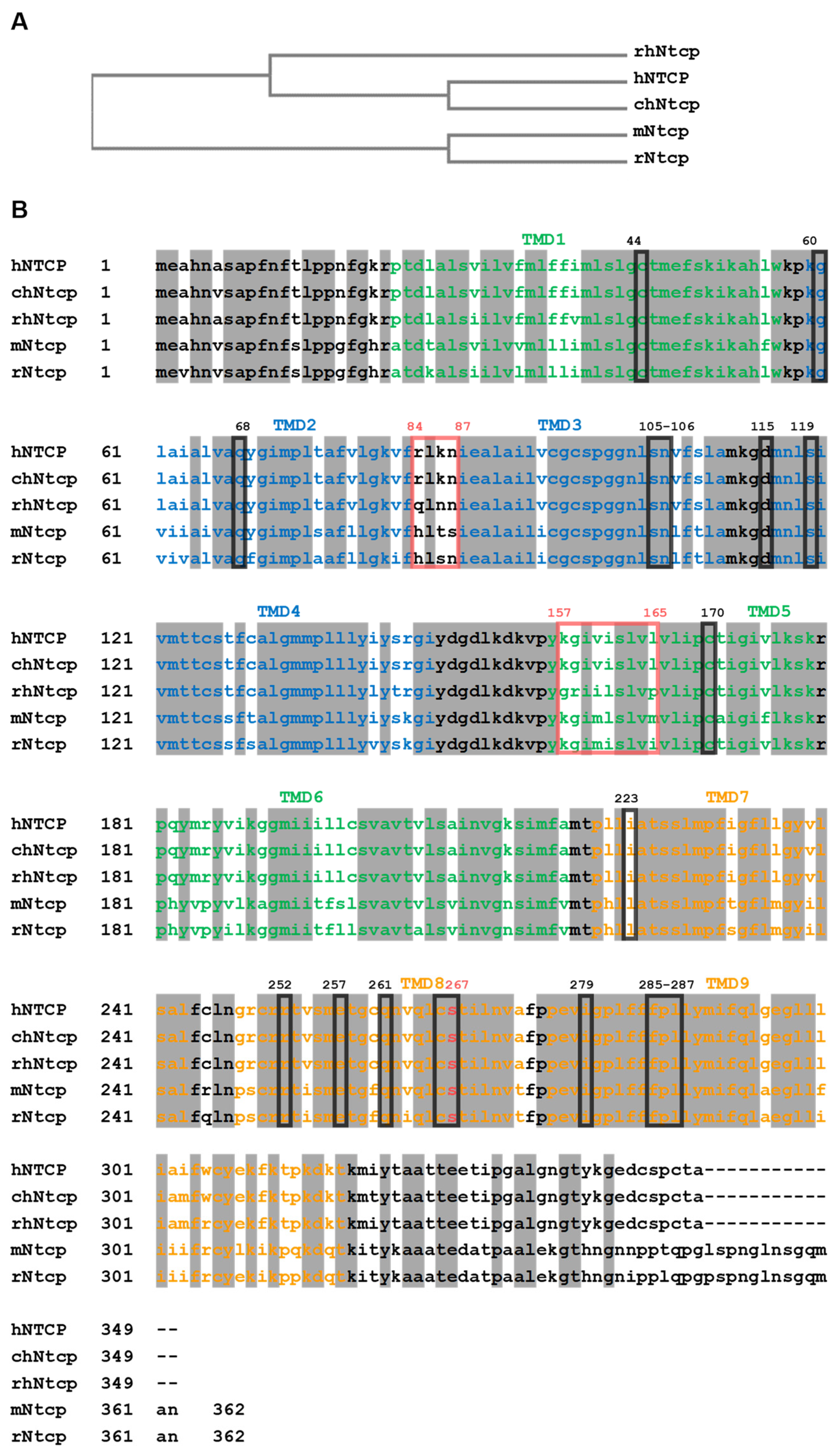 Biomedicines 10 00196 g001 Biomedicines 10 00196 g001