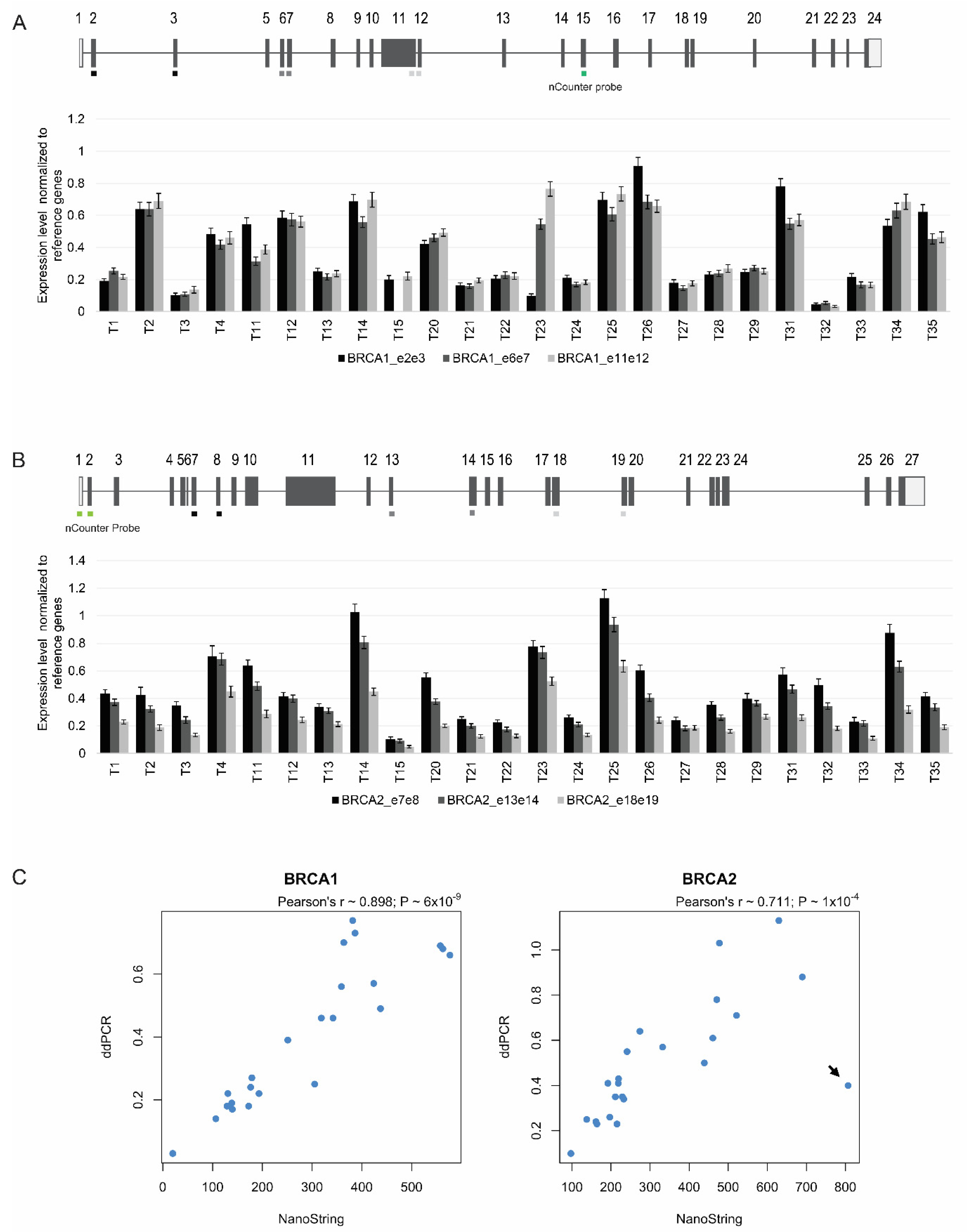 Biomedicines 10 00199 g005