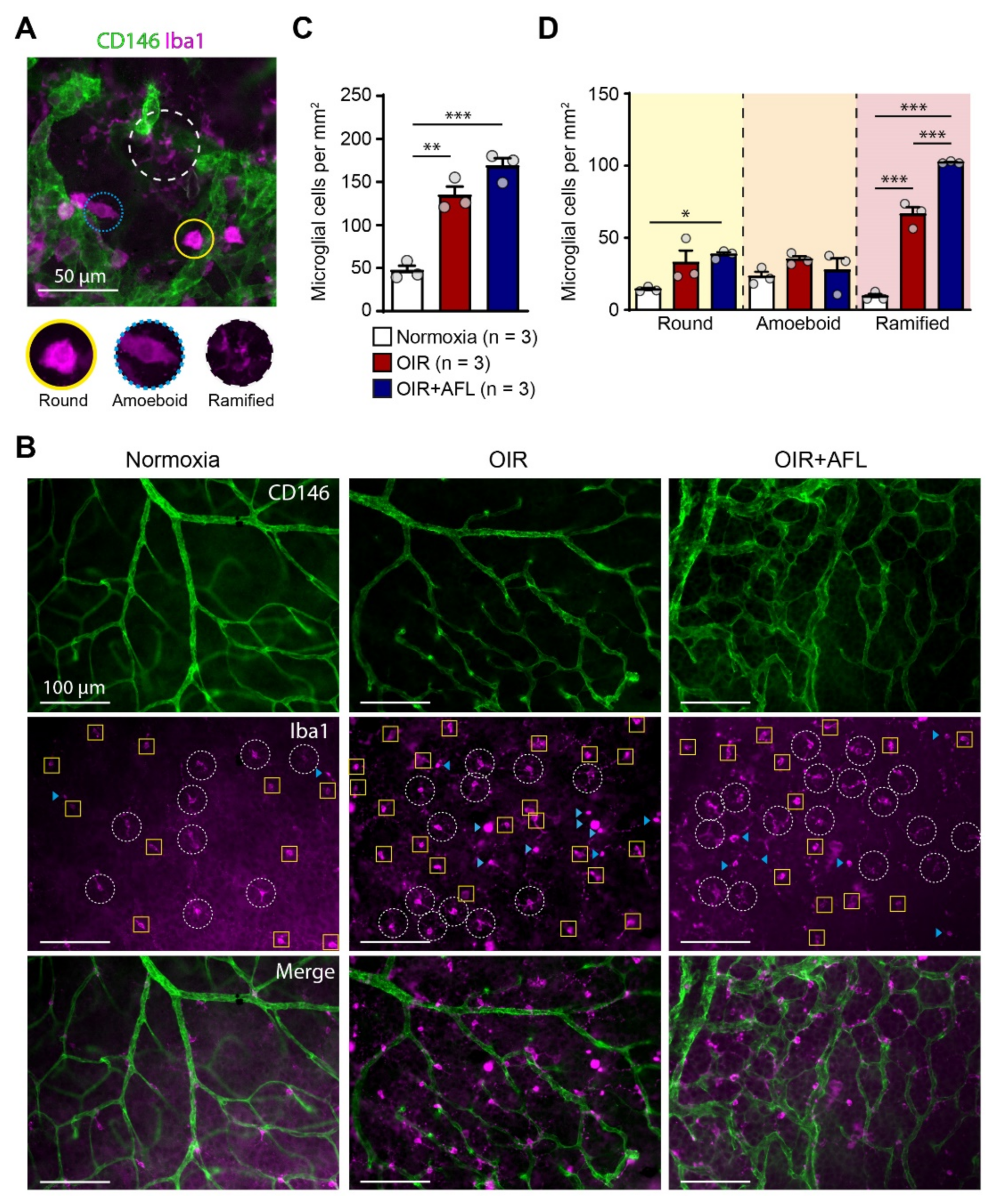 Biomedicines 10 00201 g001