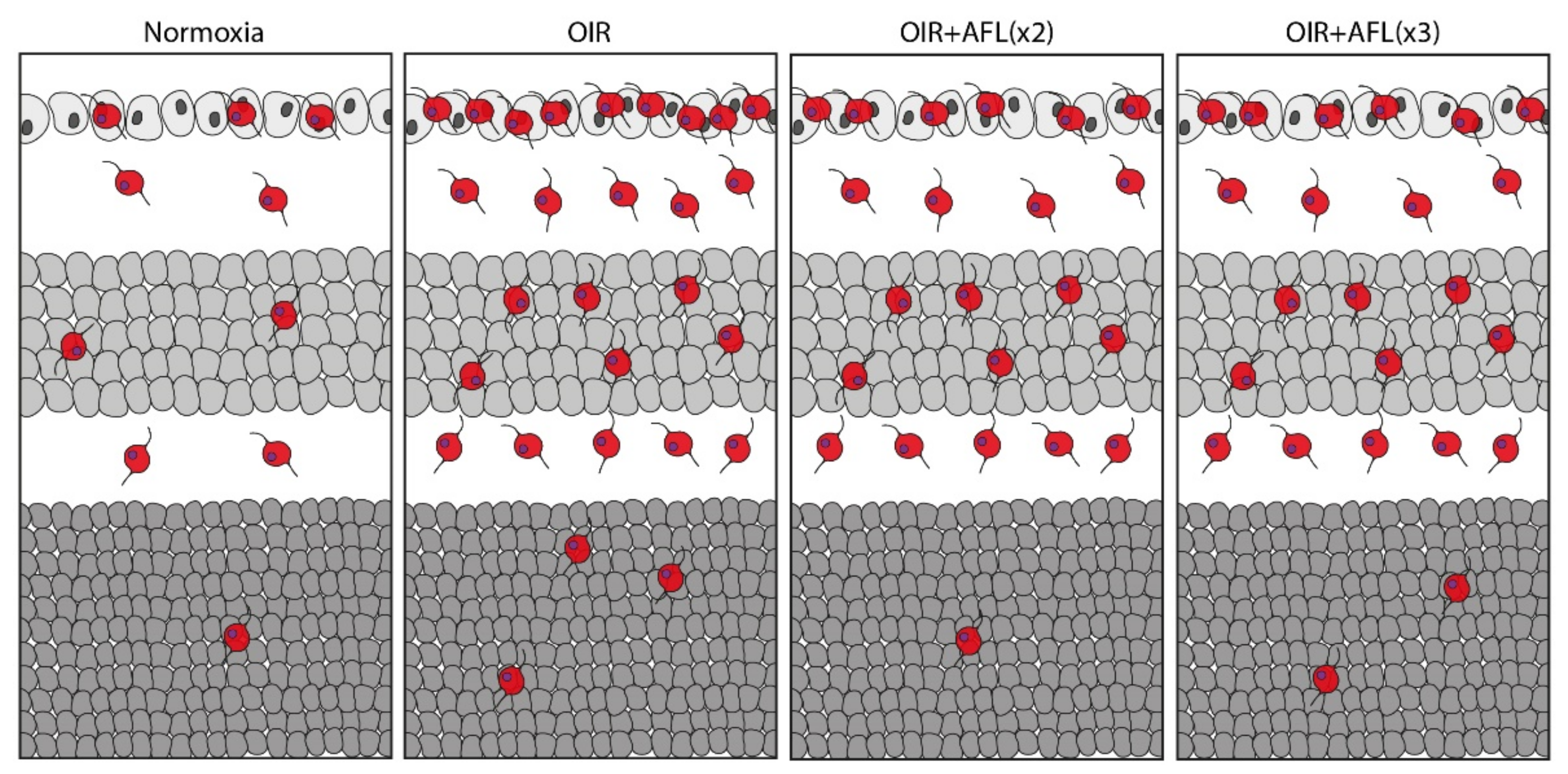 Biomedicines 10 00201 g004