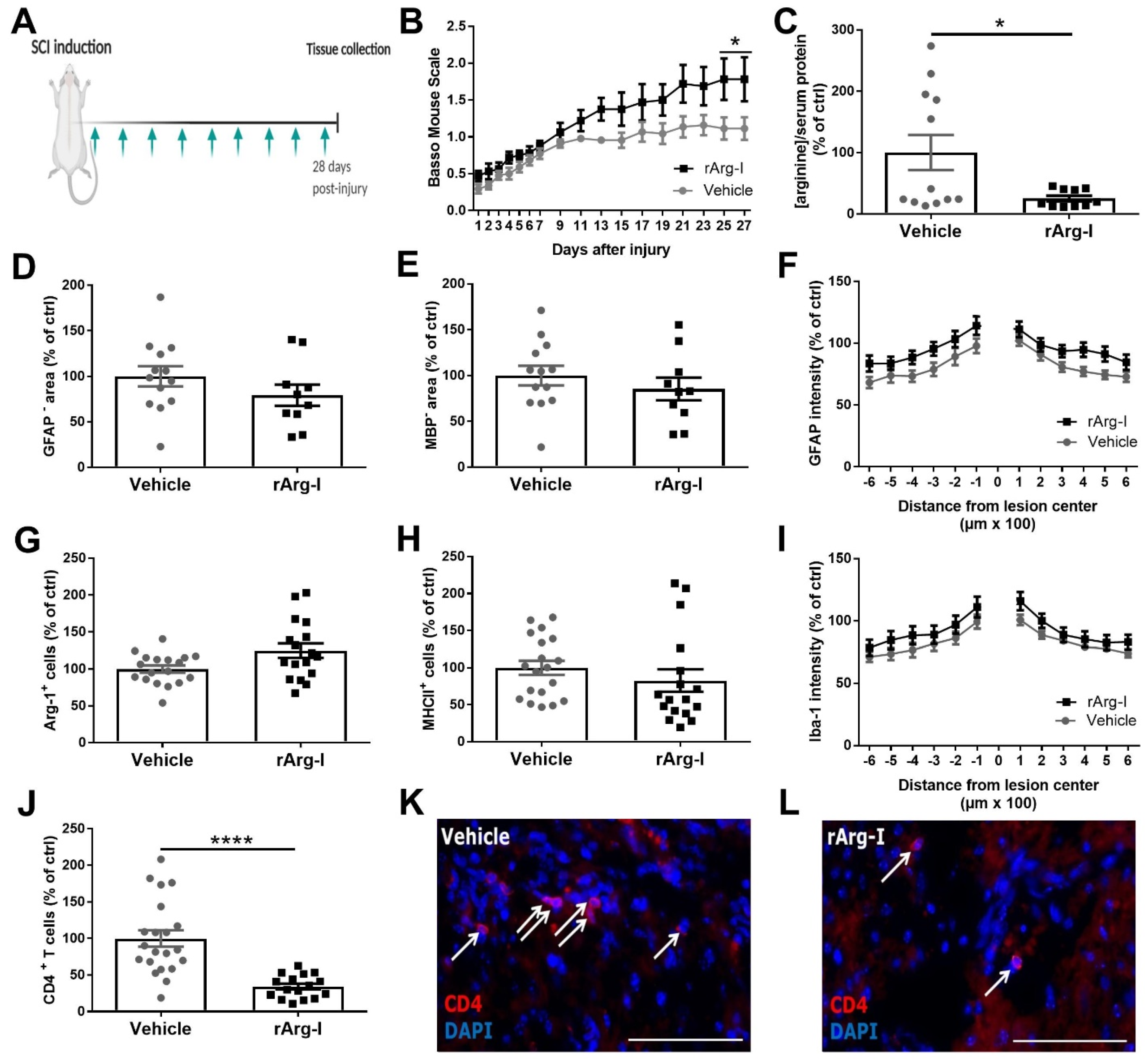 Biomedicines 10 00205 g001