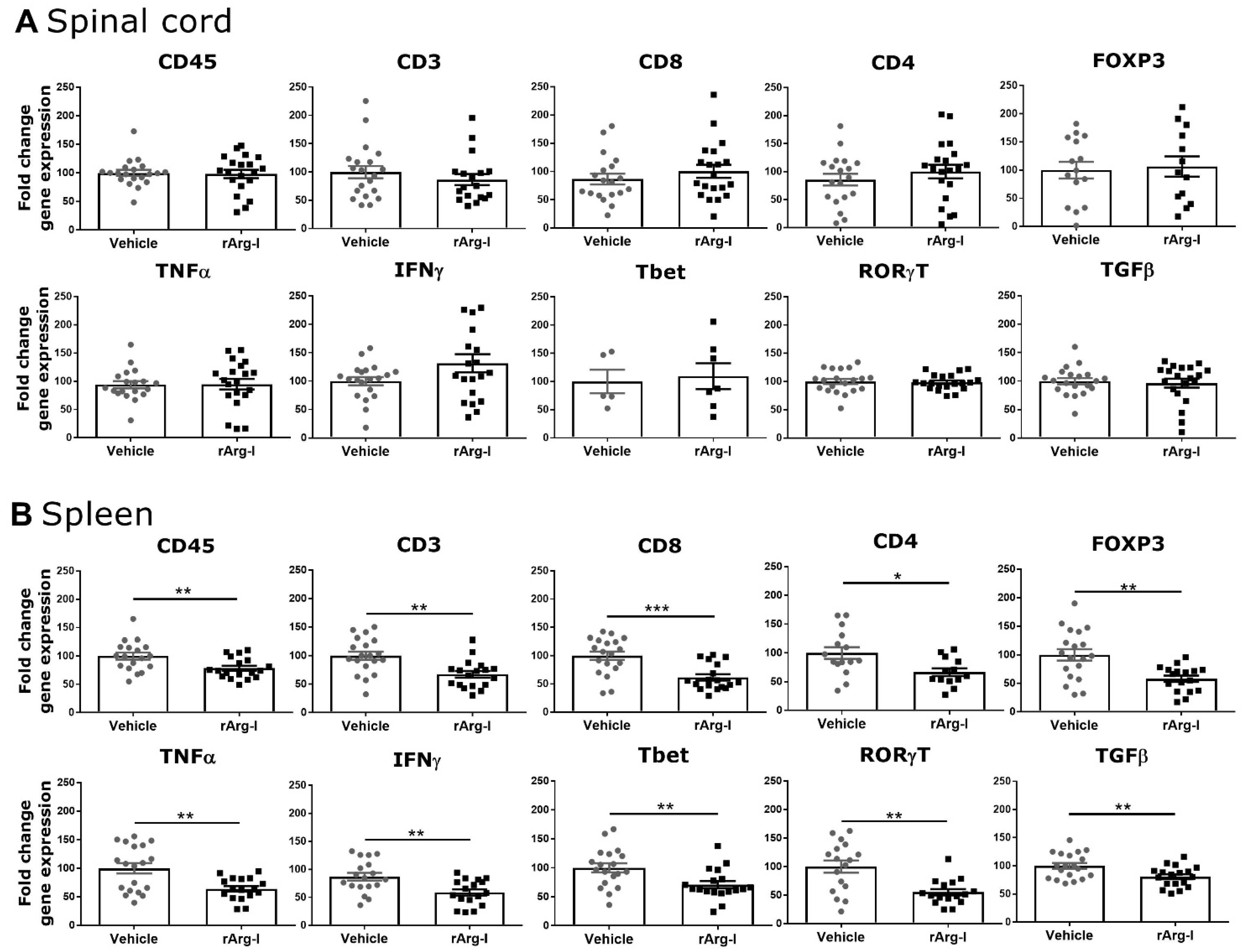 Biomedicines 10 00205 g004