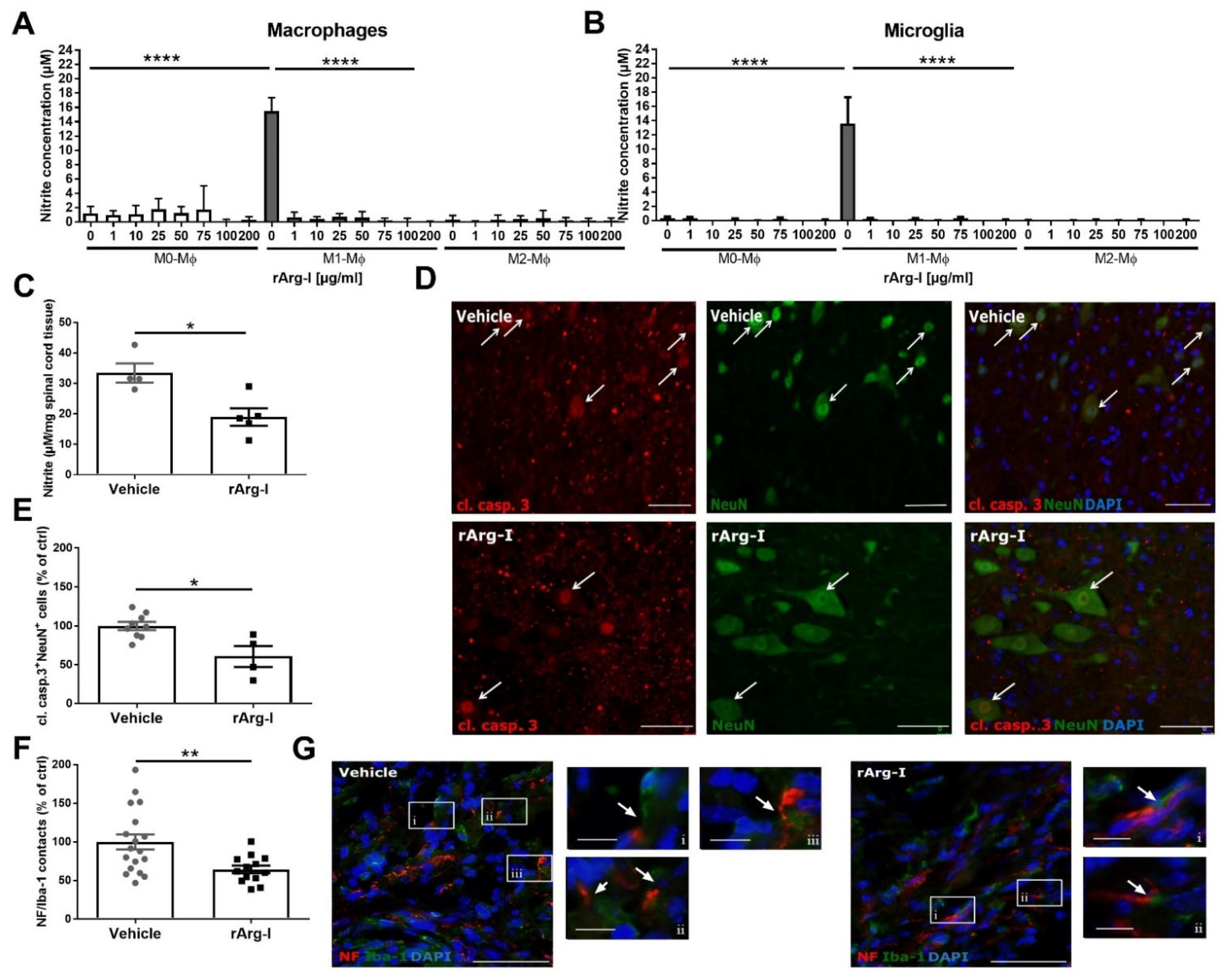 Biomedicines 10 00205 g006