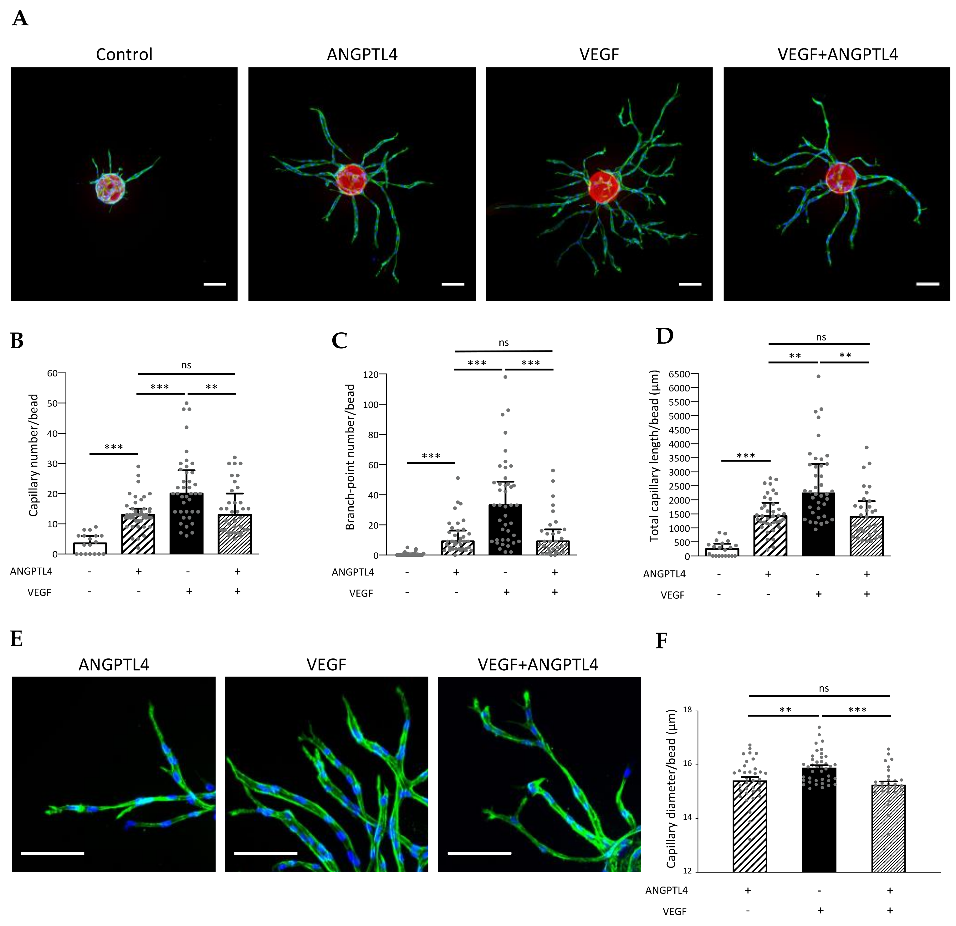 Biomedicines 10 00206 g001