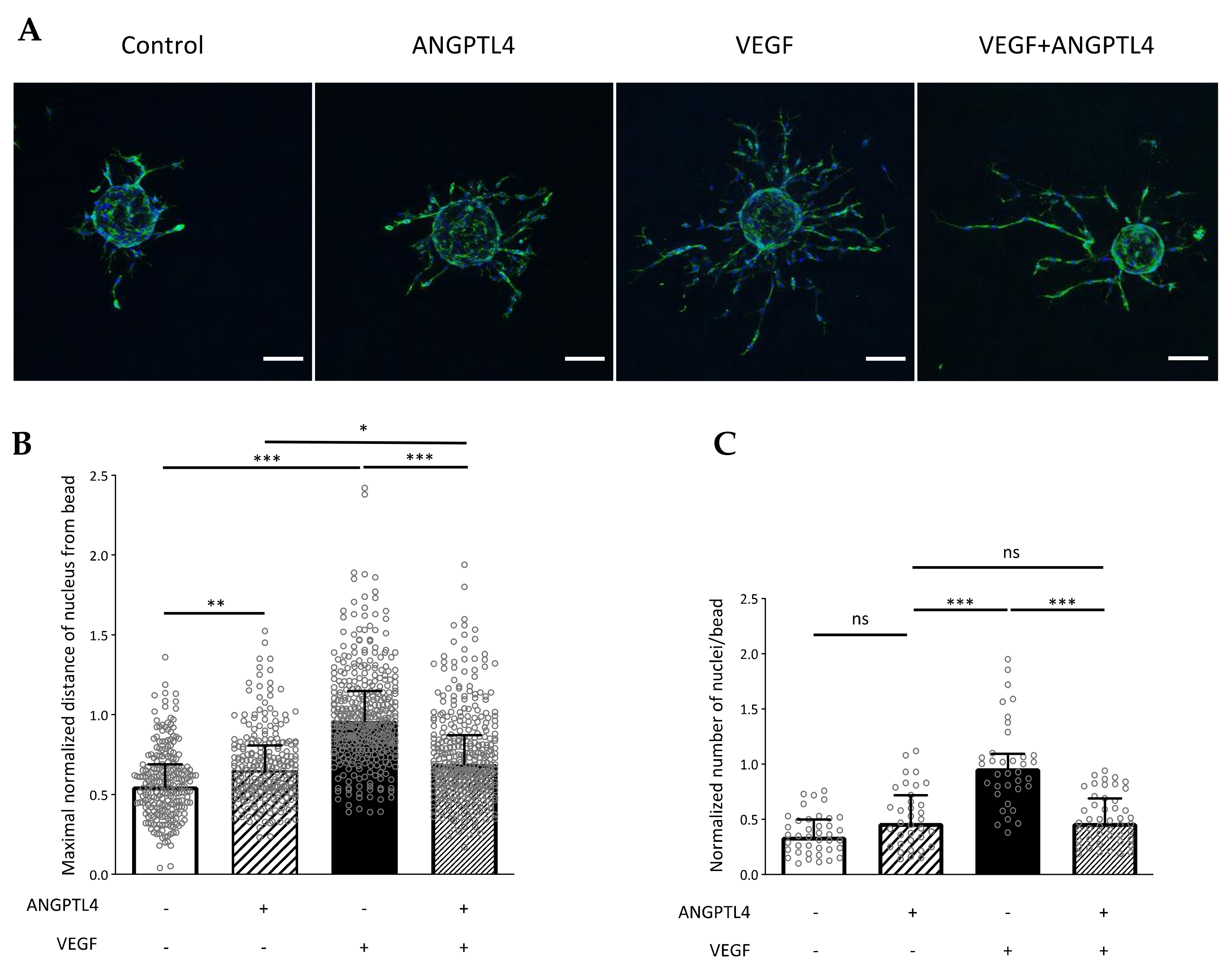 Biomedicines 10 00206 g005
