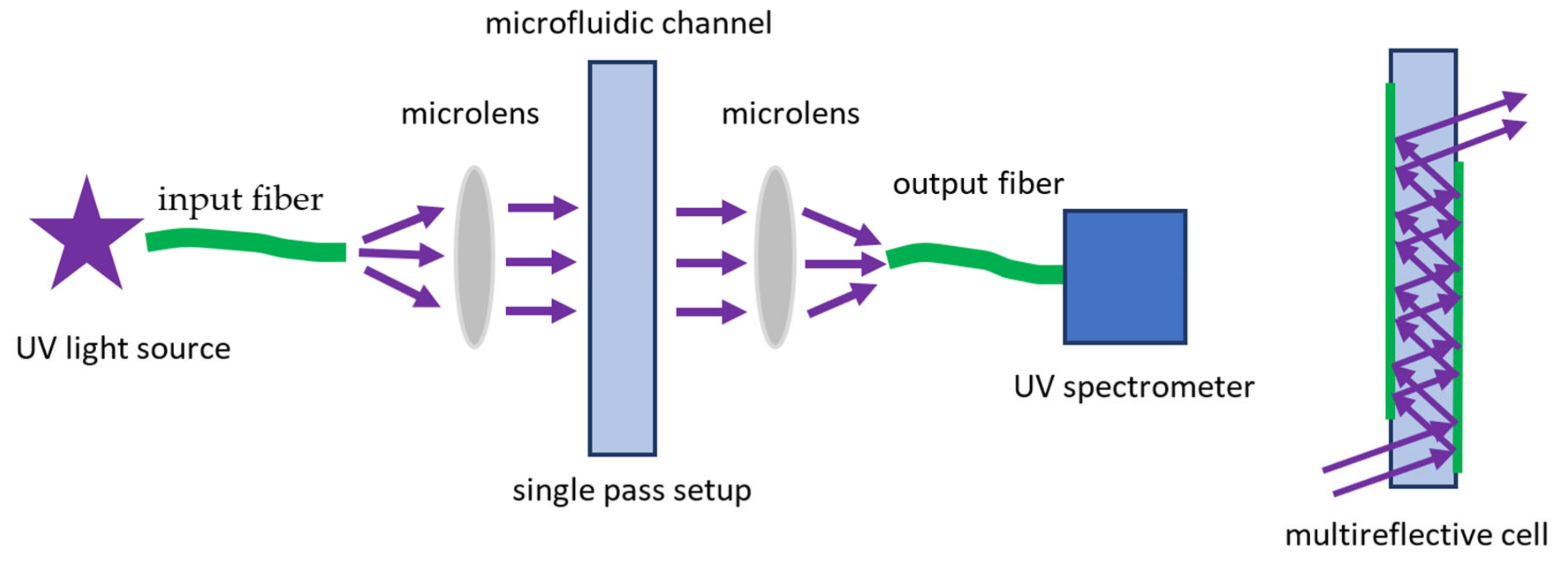 Biomedicines 10 00207 g005 Biomedicines 10 00207 g005