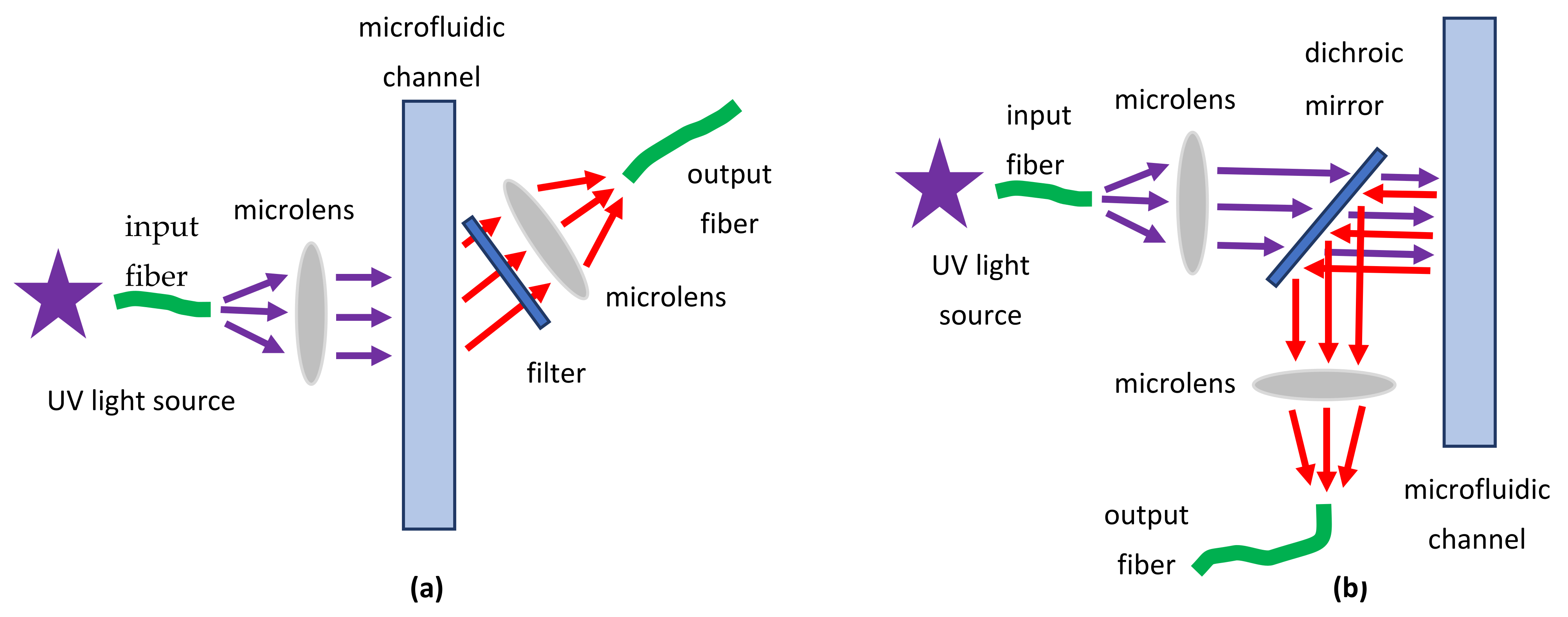 Biomedicines 10 00207 g007 Biomedicines 10 00207 g007