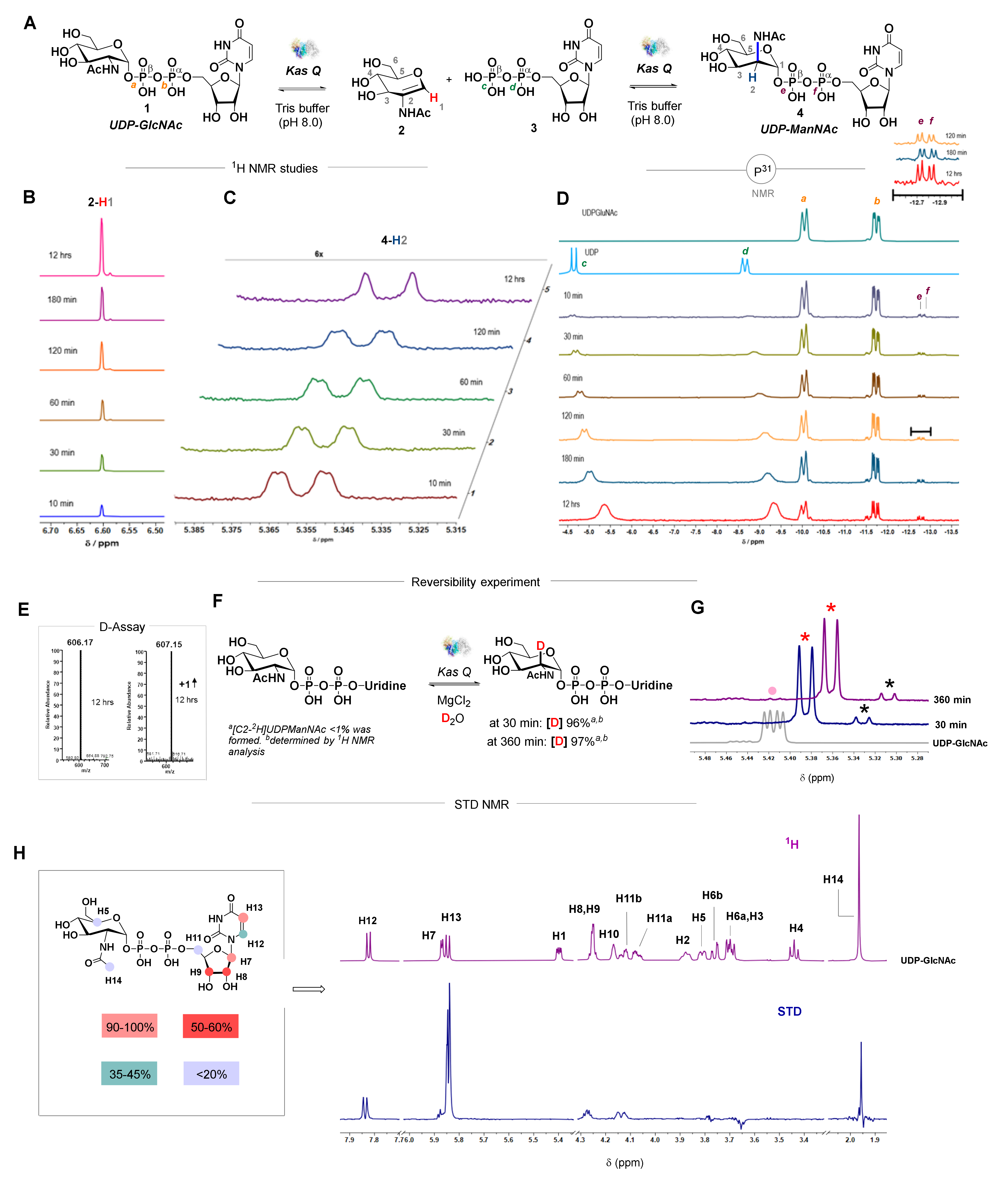 Biomedicines 10 00212 g003