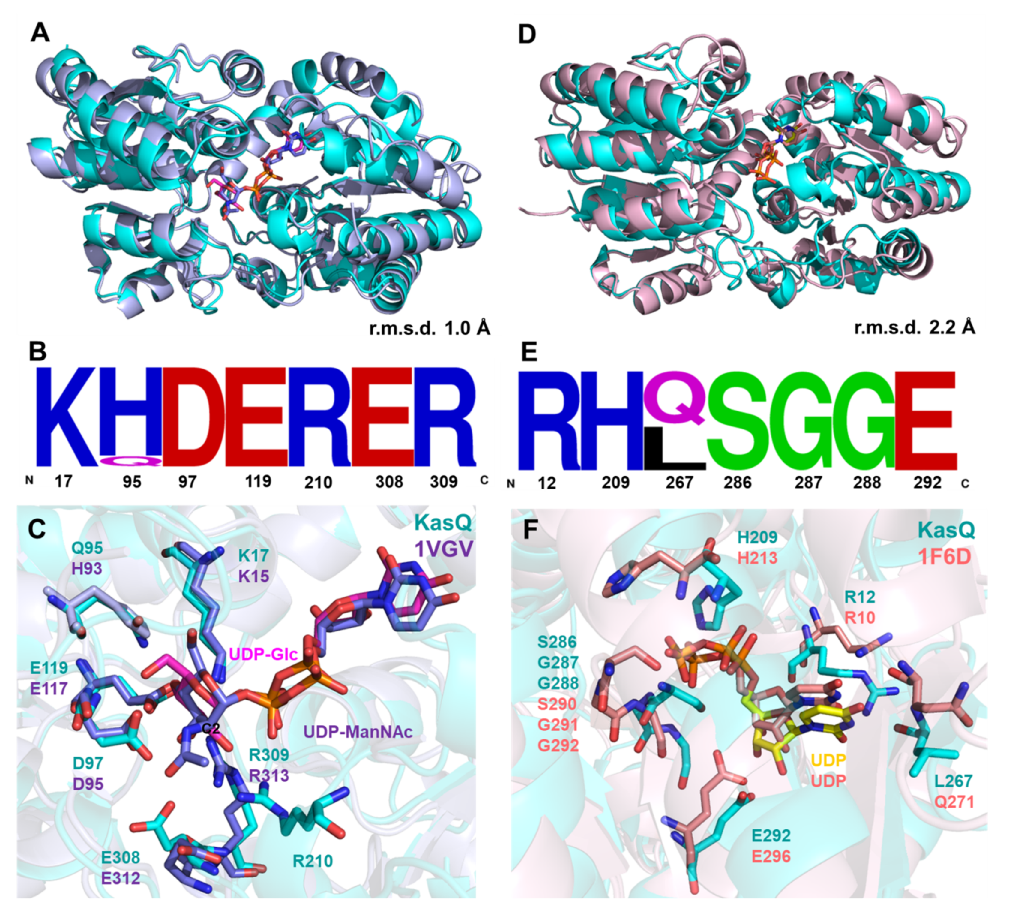 Biomedicines 10 00212 g007