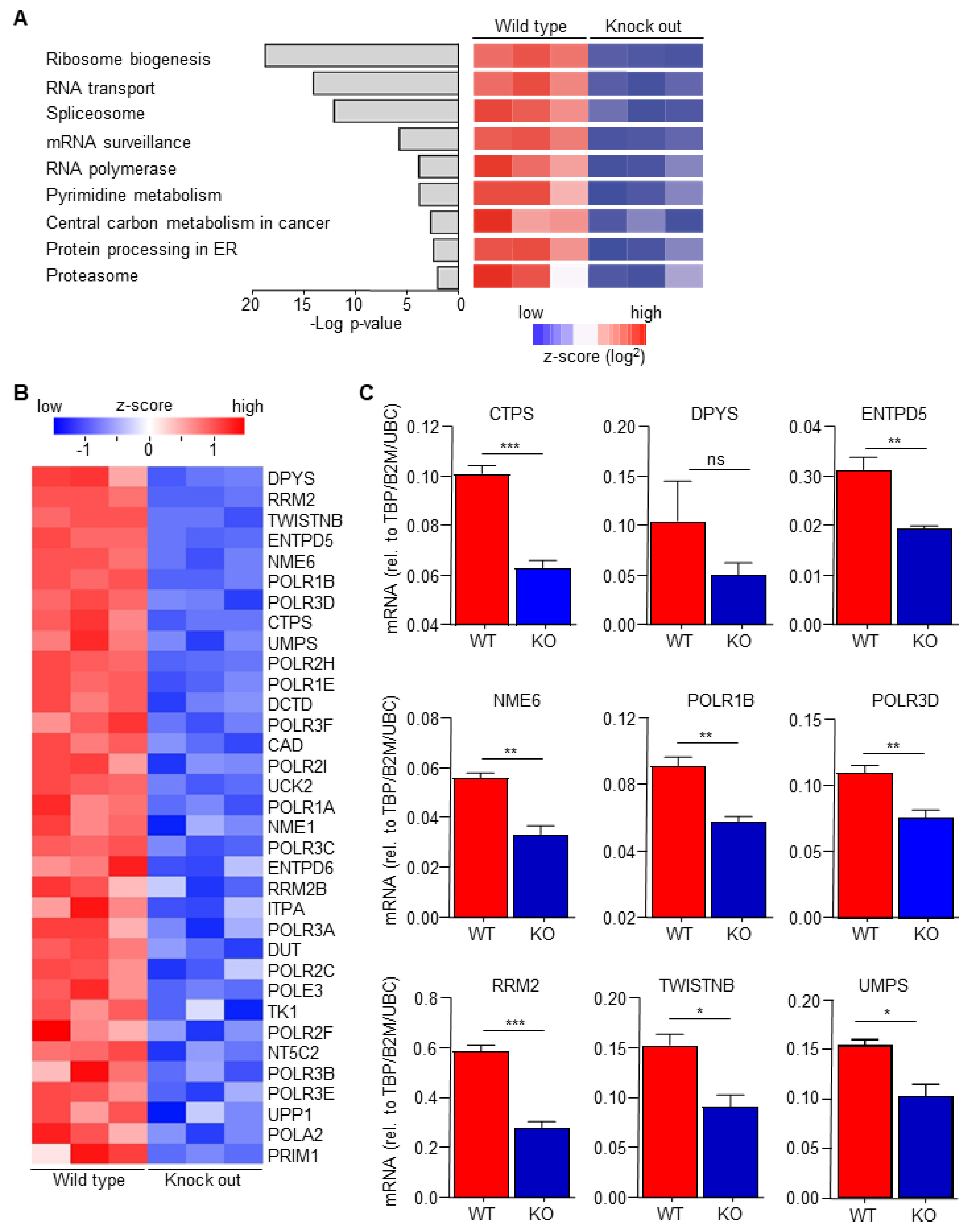 Biomedicines 10 00219 g002