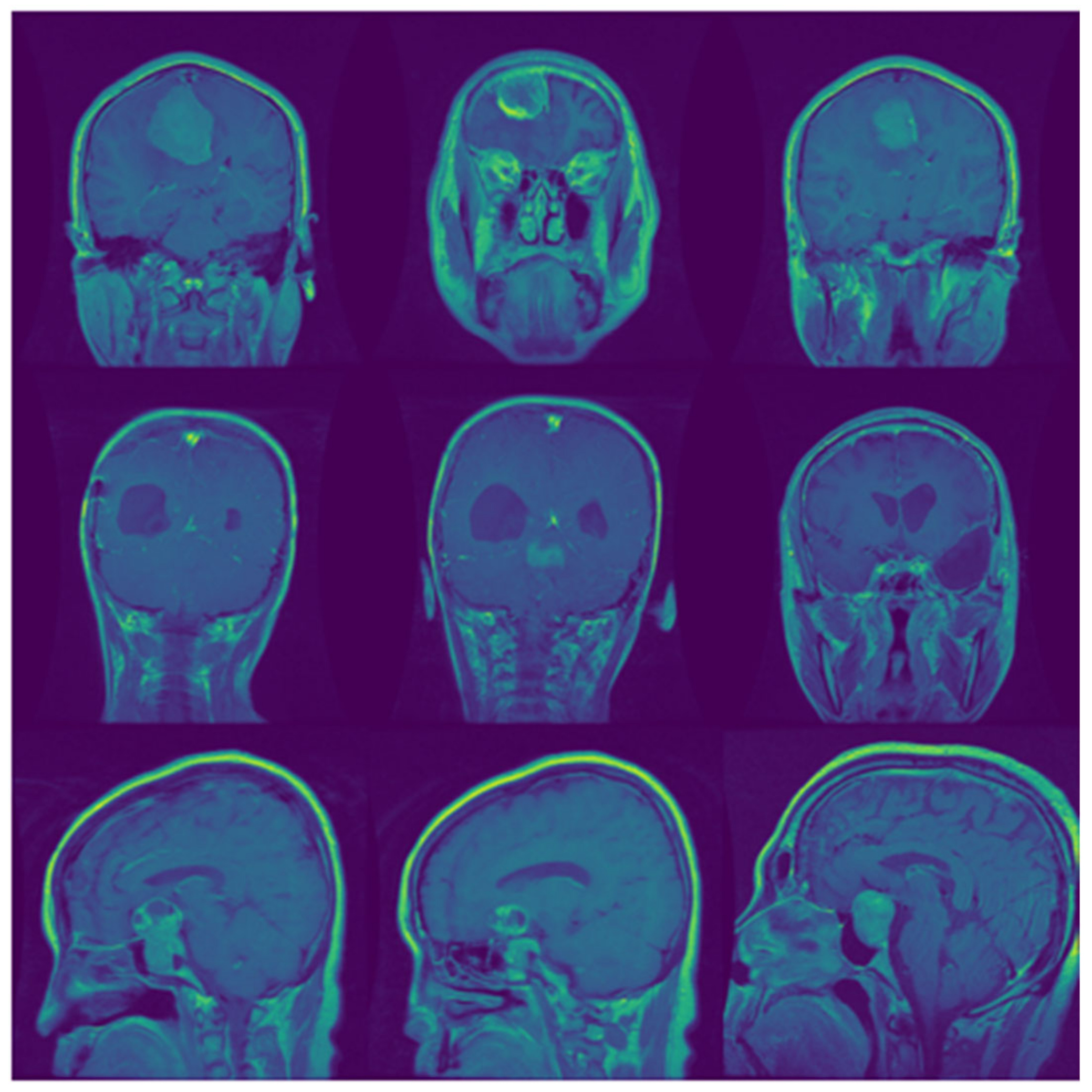Biomedicines 10 00223 g001 Biomedicines 10 00223 g001