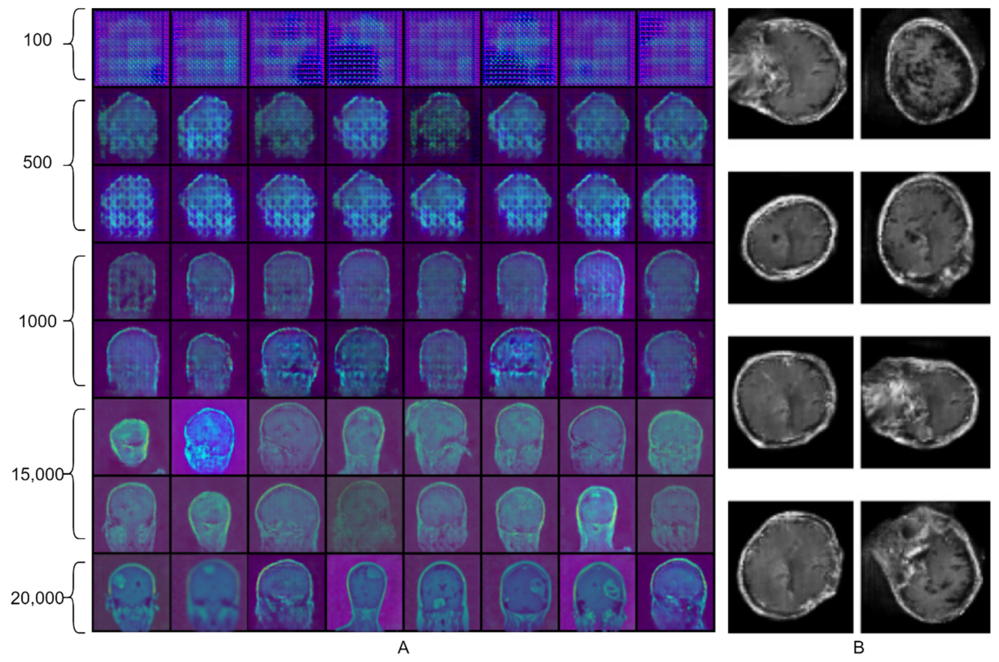 Biomedicines 10 00223 g006 Biomedicines 10 00223 g006