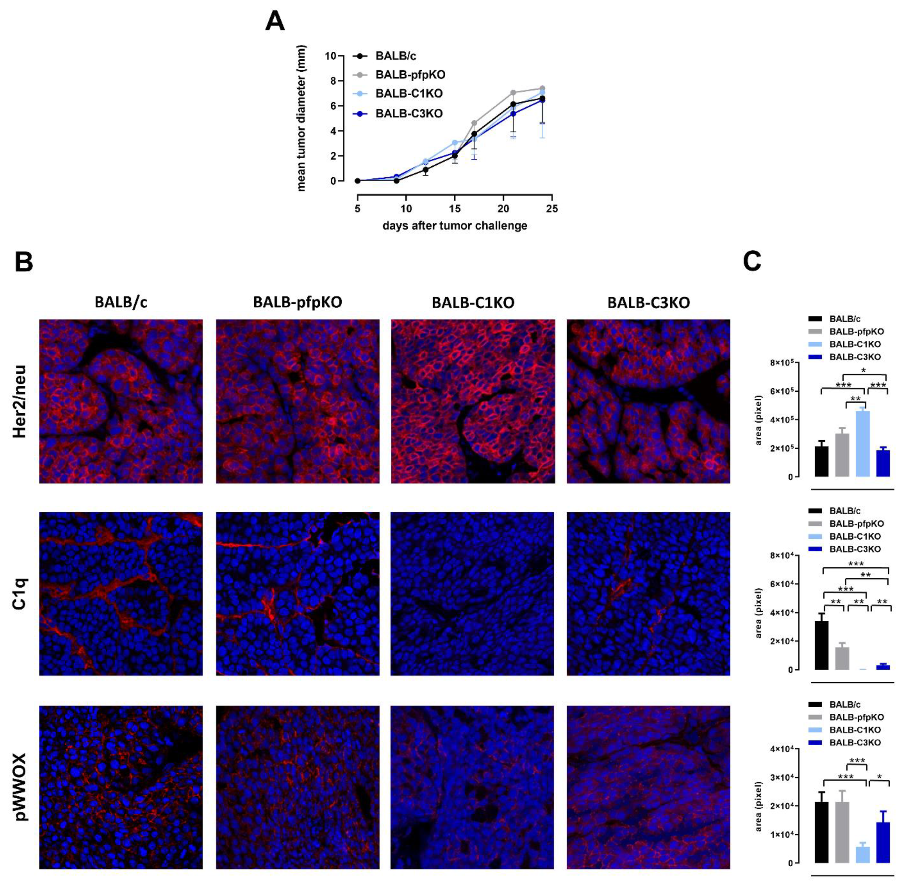 Biomedicines 10 00230 g001 Biomedicines 10 00230 g001