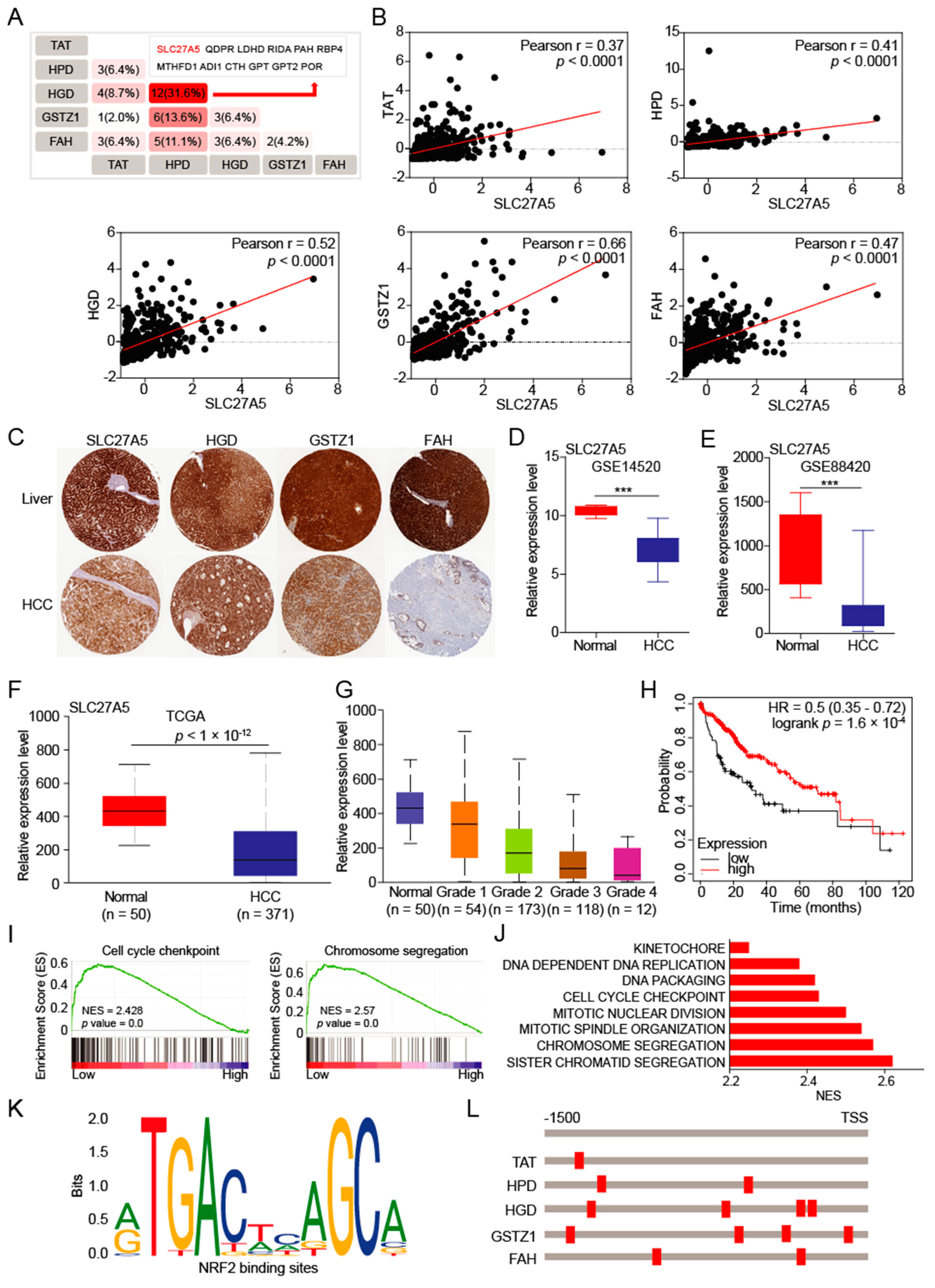 Biomedicines 10 00234 g004 Biomedicines 10 00234 g004