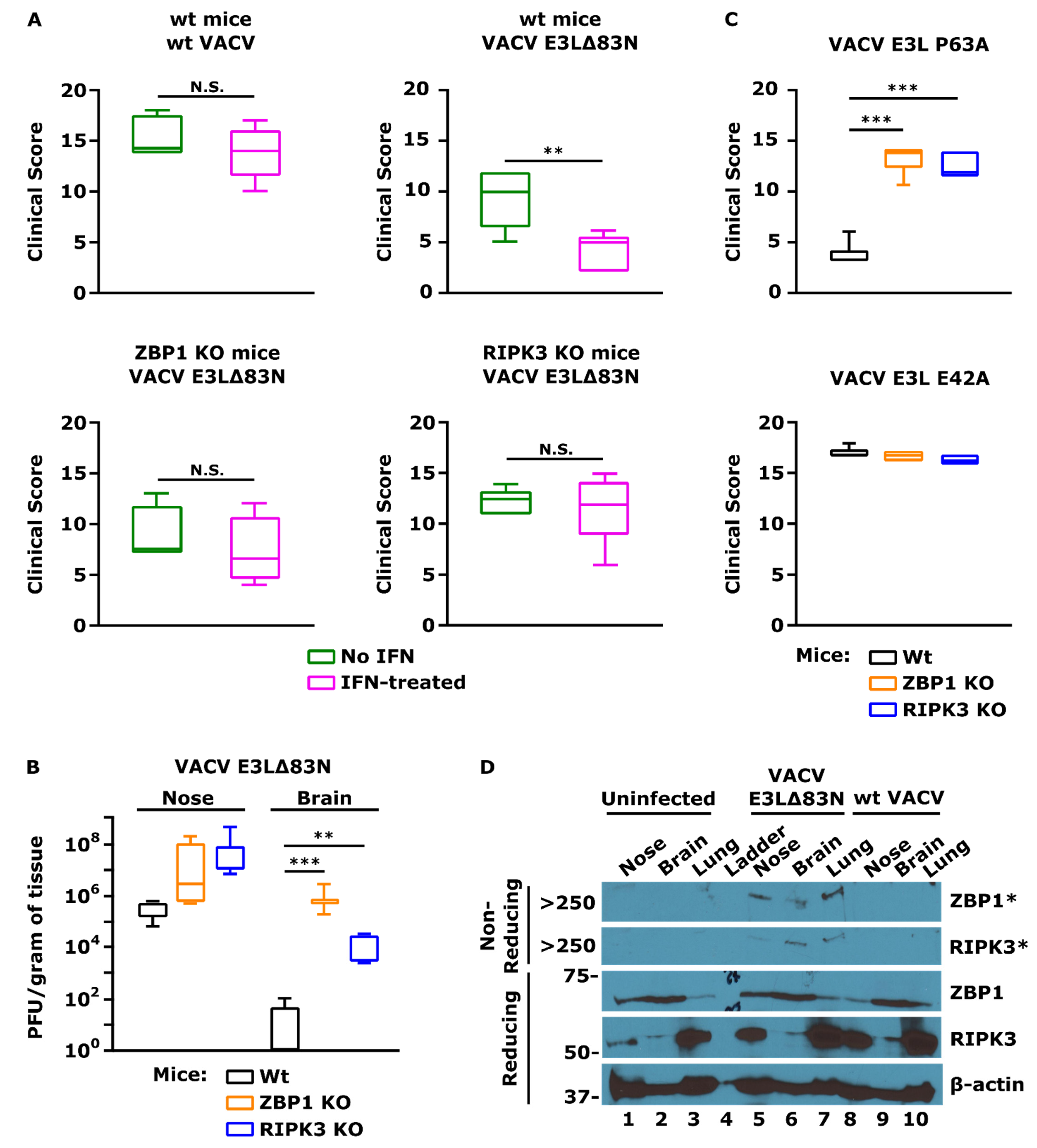 Biomedicines 10 00235 g005