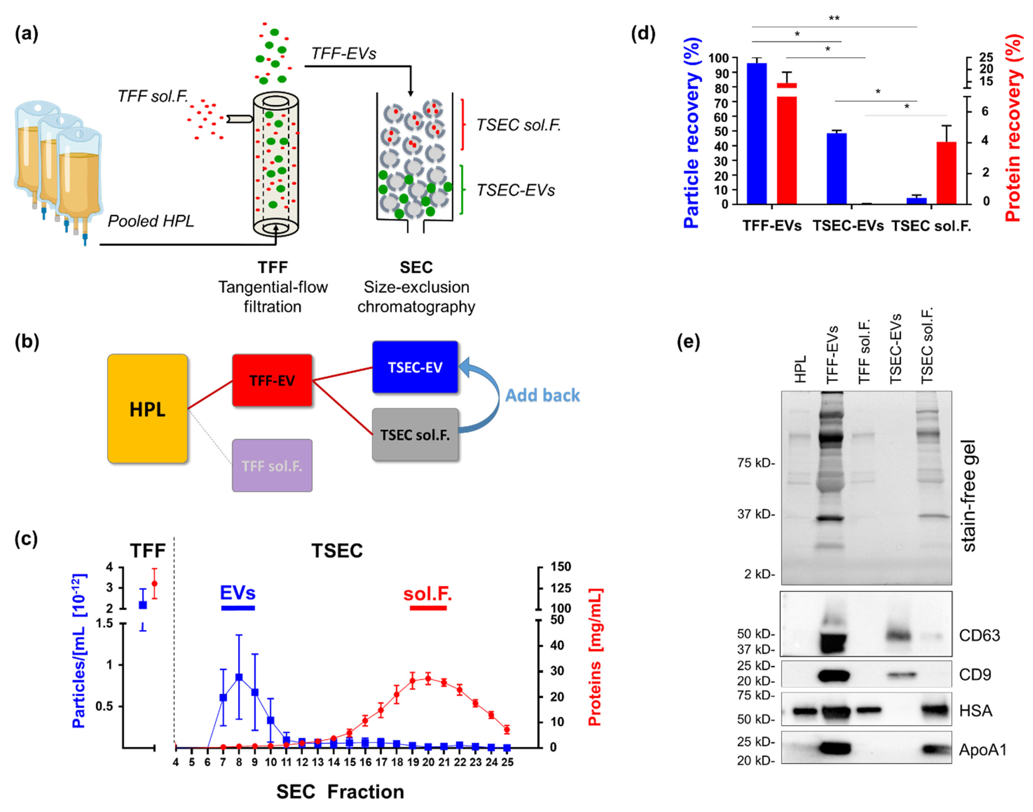 Biomedicines 10 00238 g001