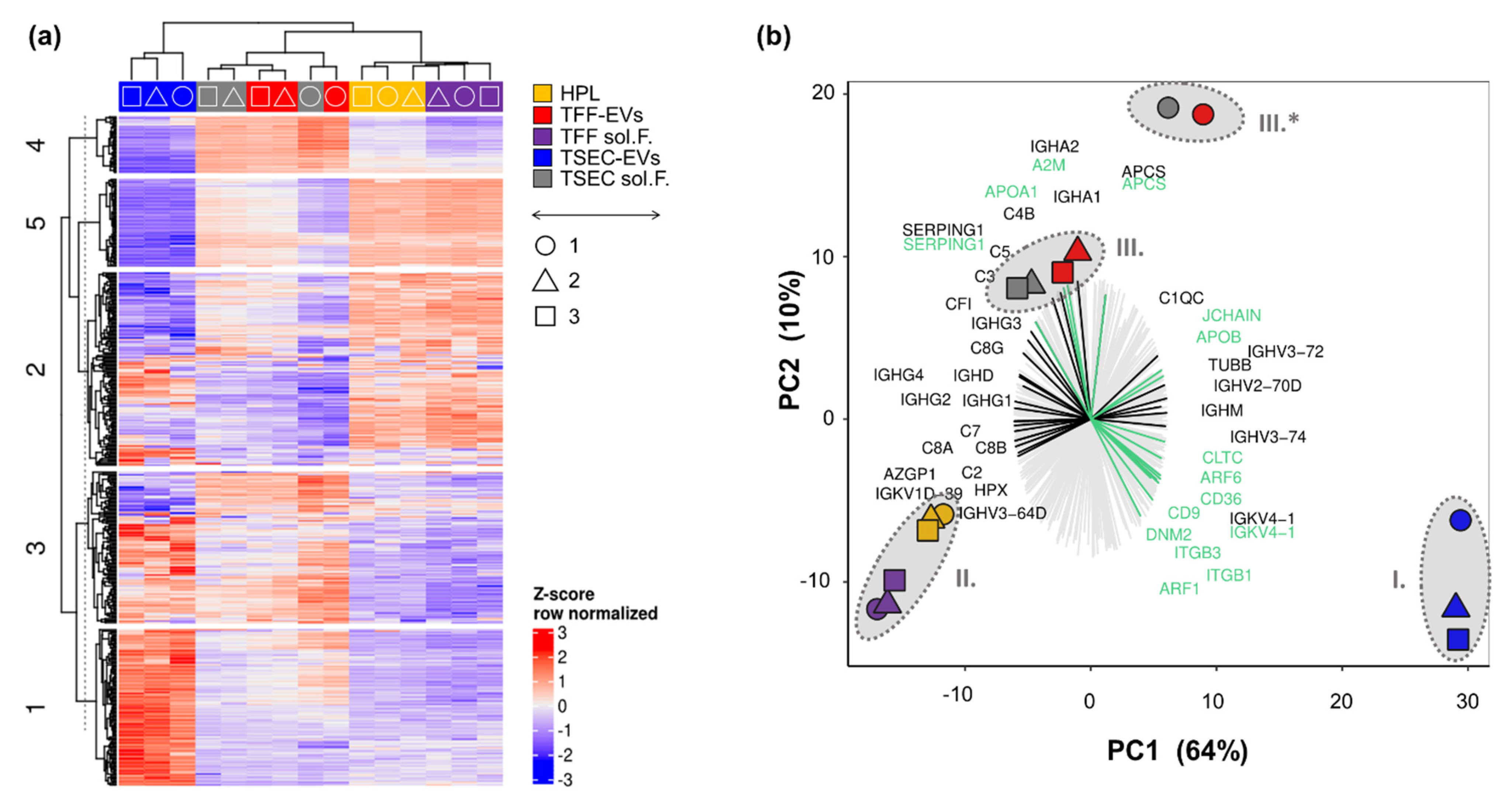 Biomedicines 10 00238 g002