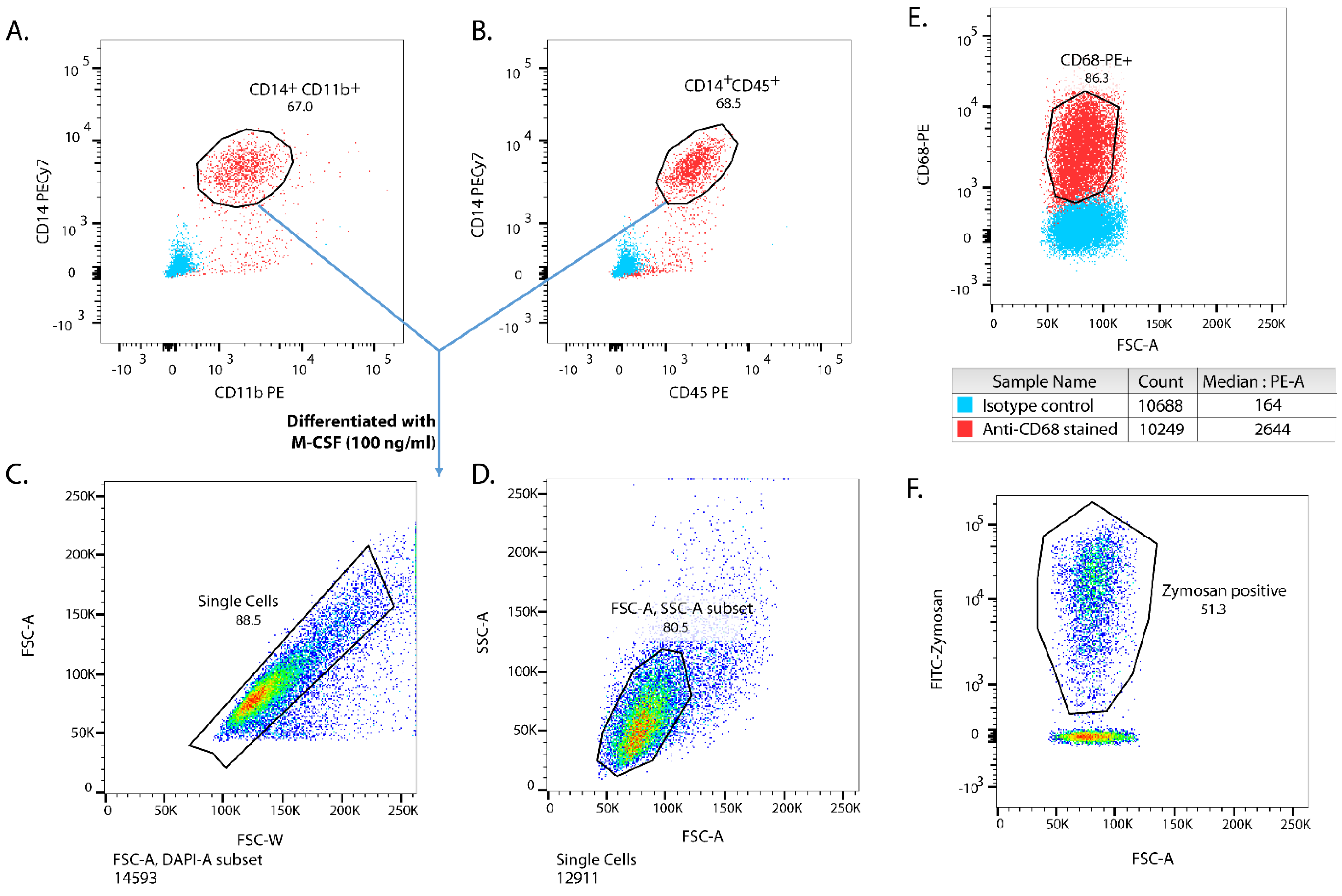 Biomedicines 10 00239 g001