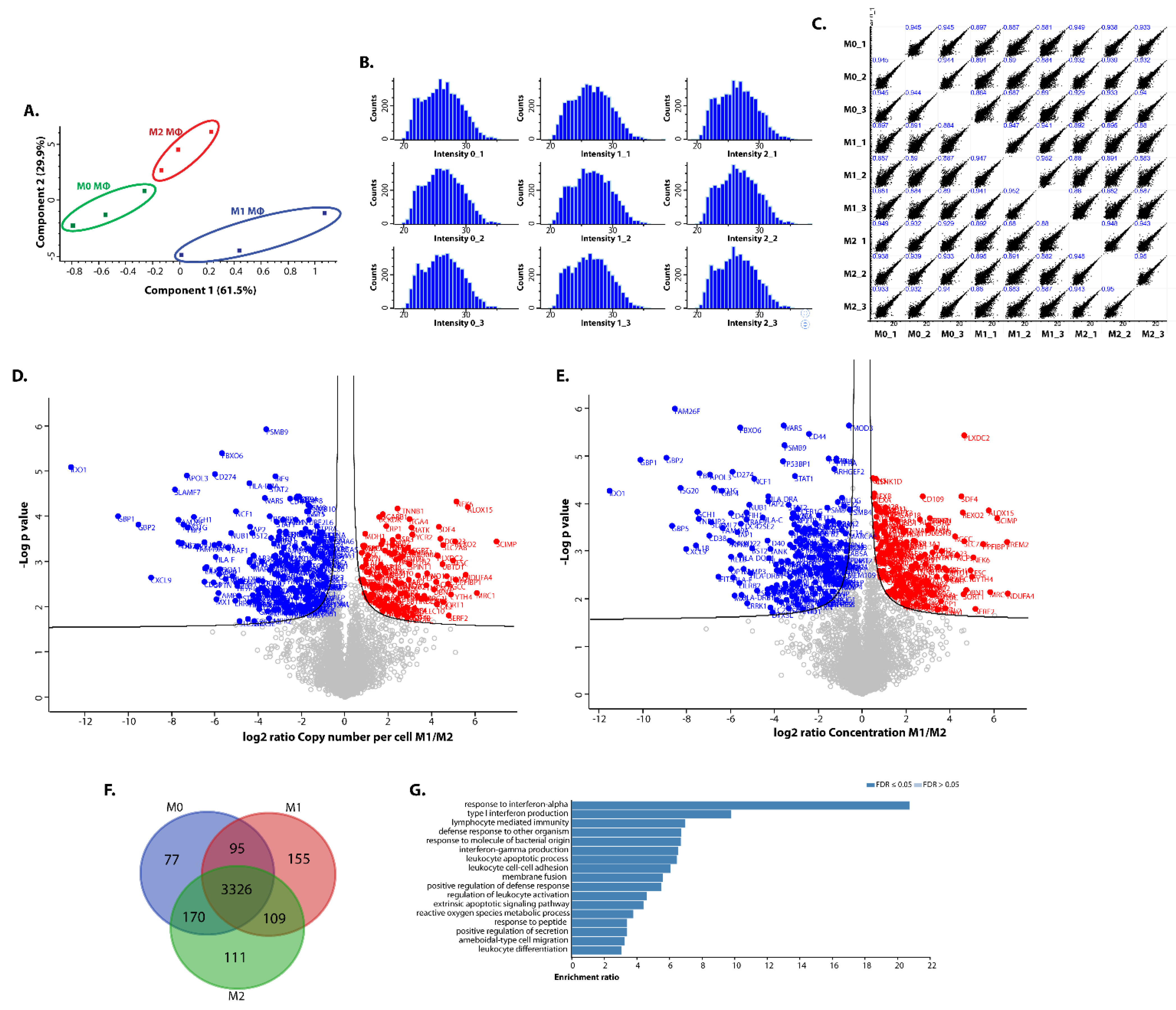 Biomedicines 10 00239 g002